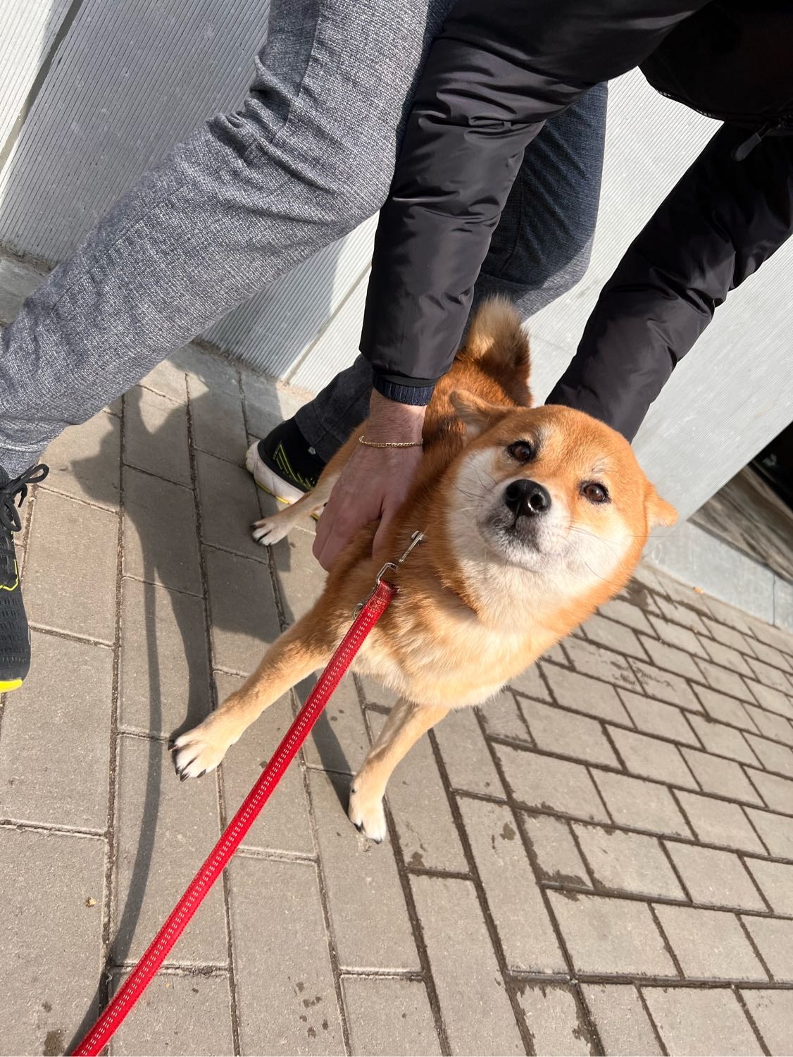 image-20