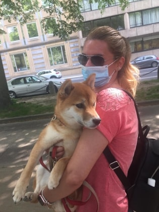 image-16