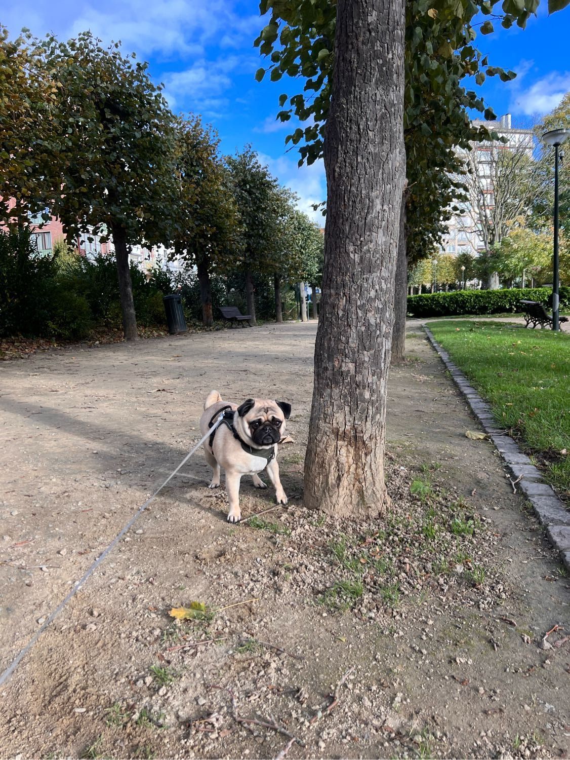 image-29