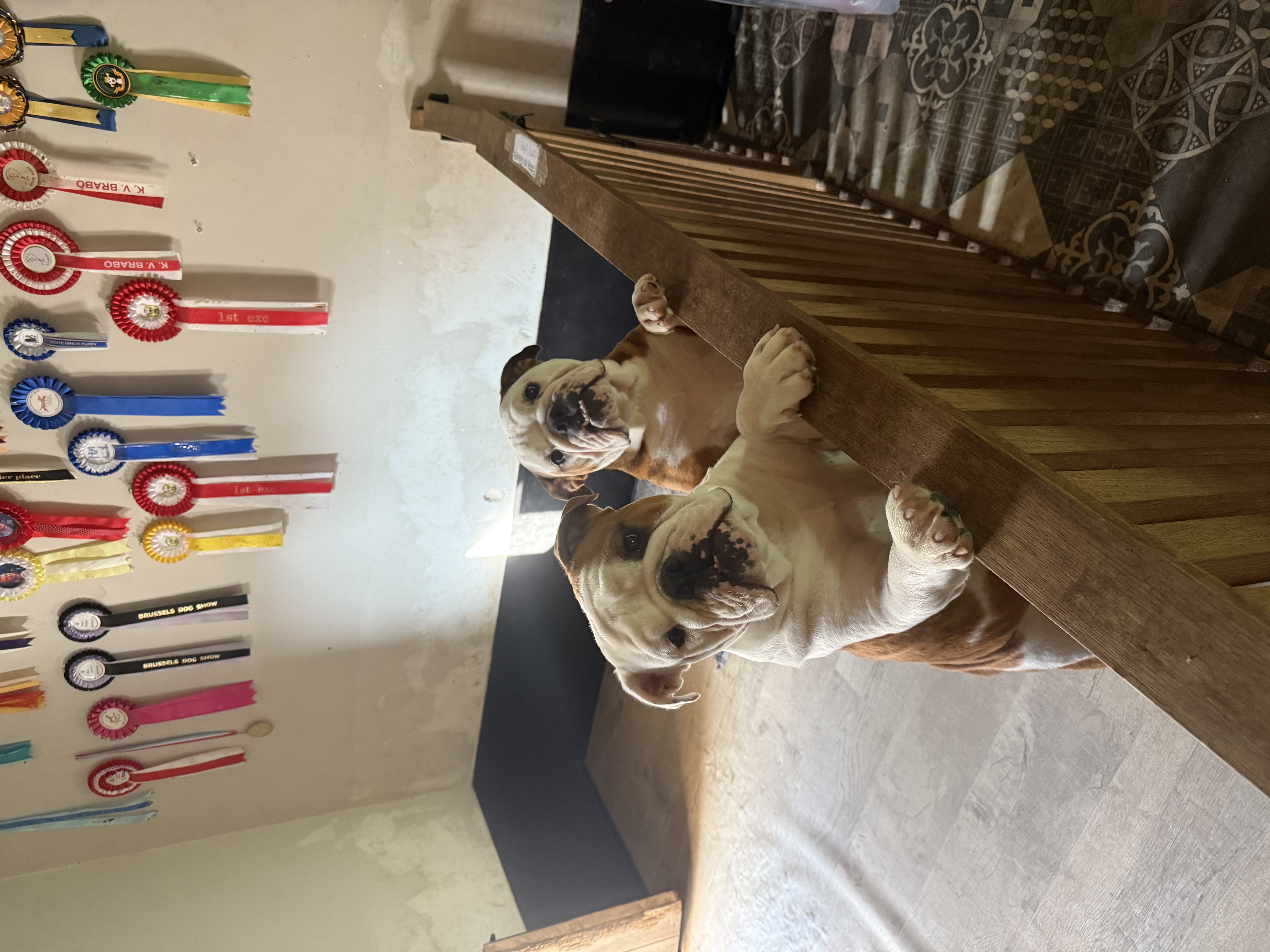 image-16