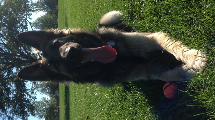 image-5