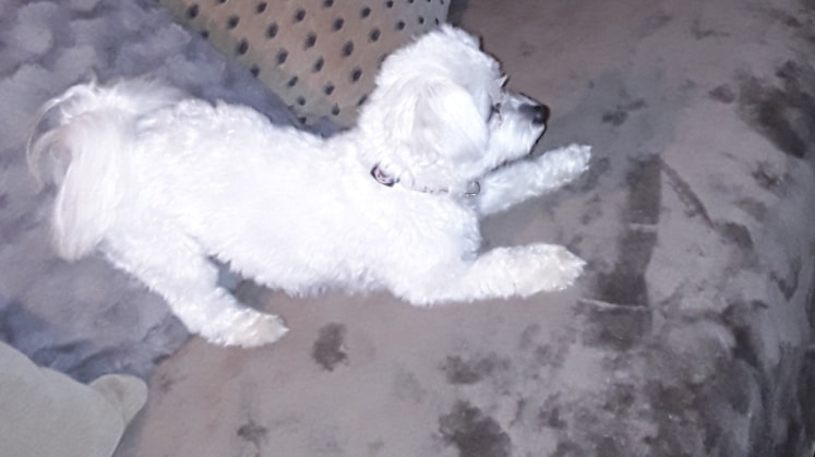 image-8