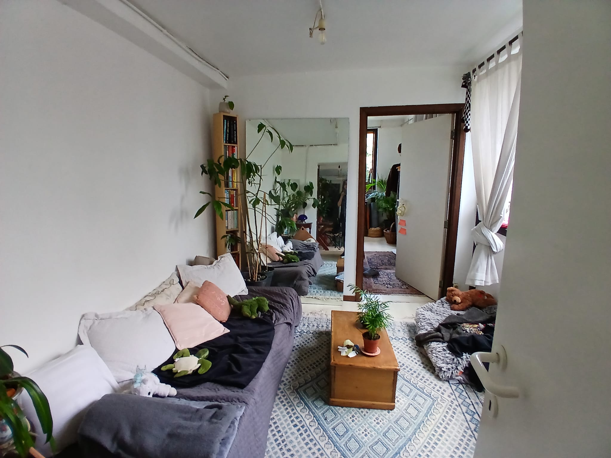 image-5