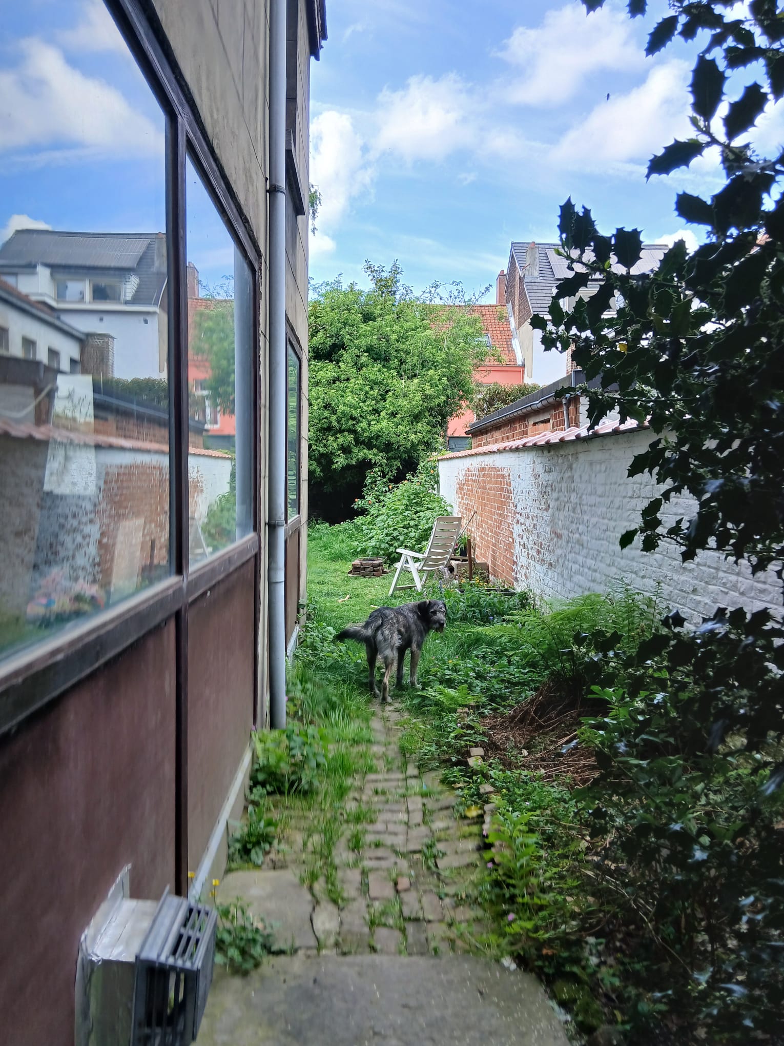 image-6