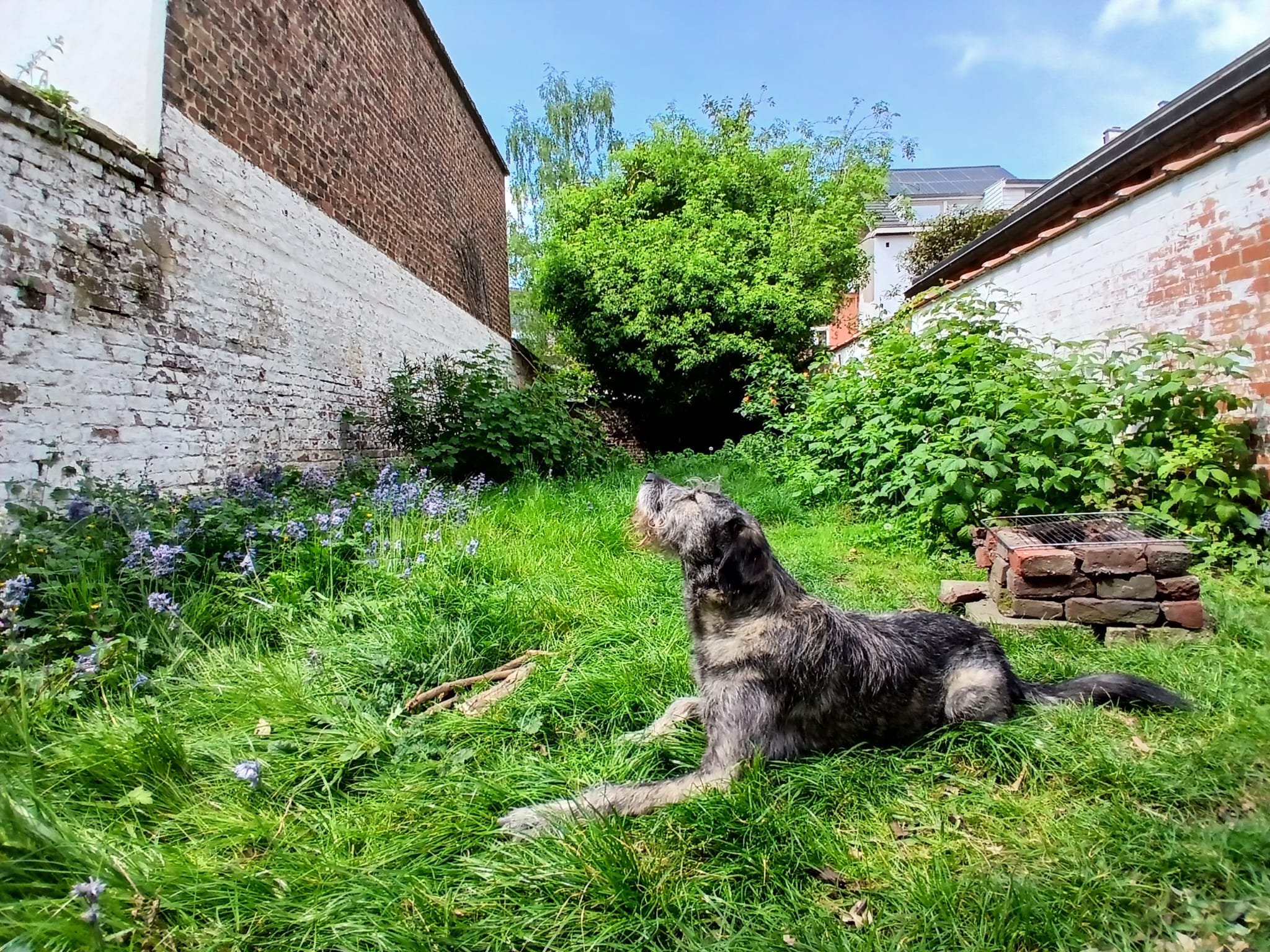 image-7