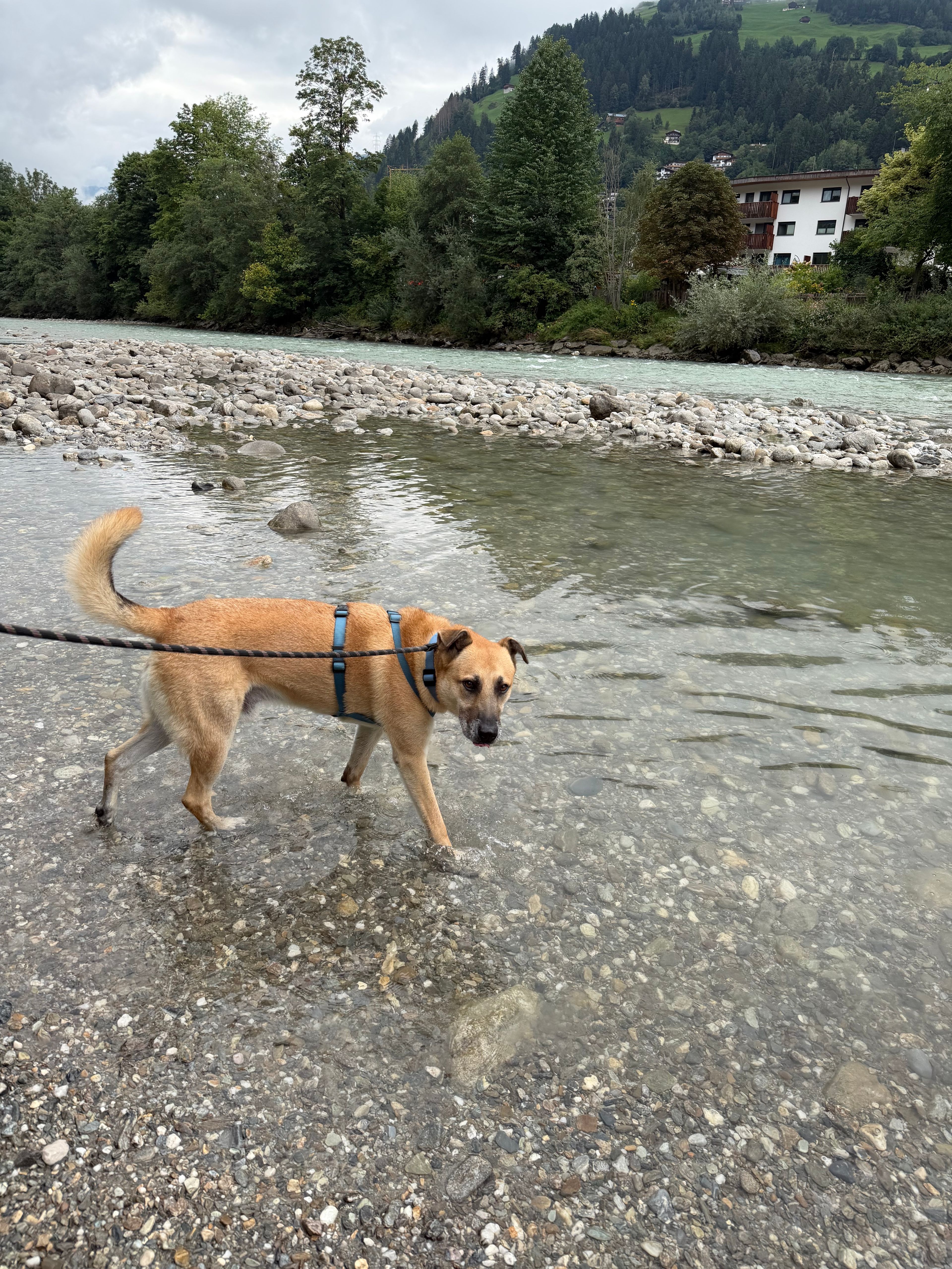 image-21