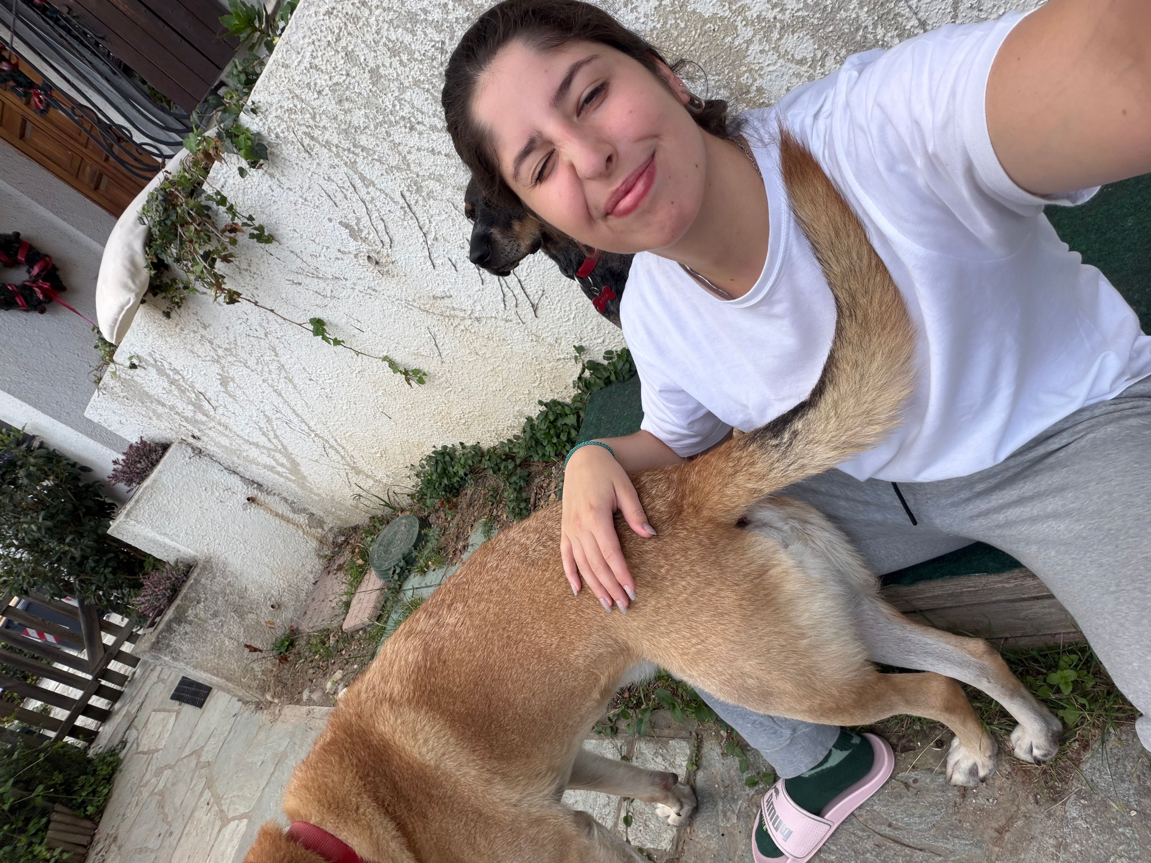 image-8