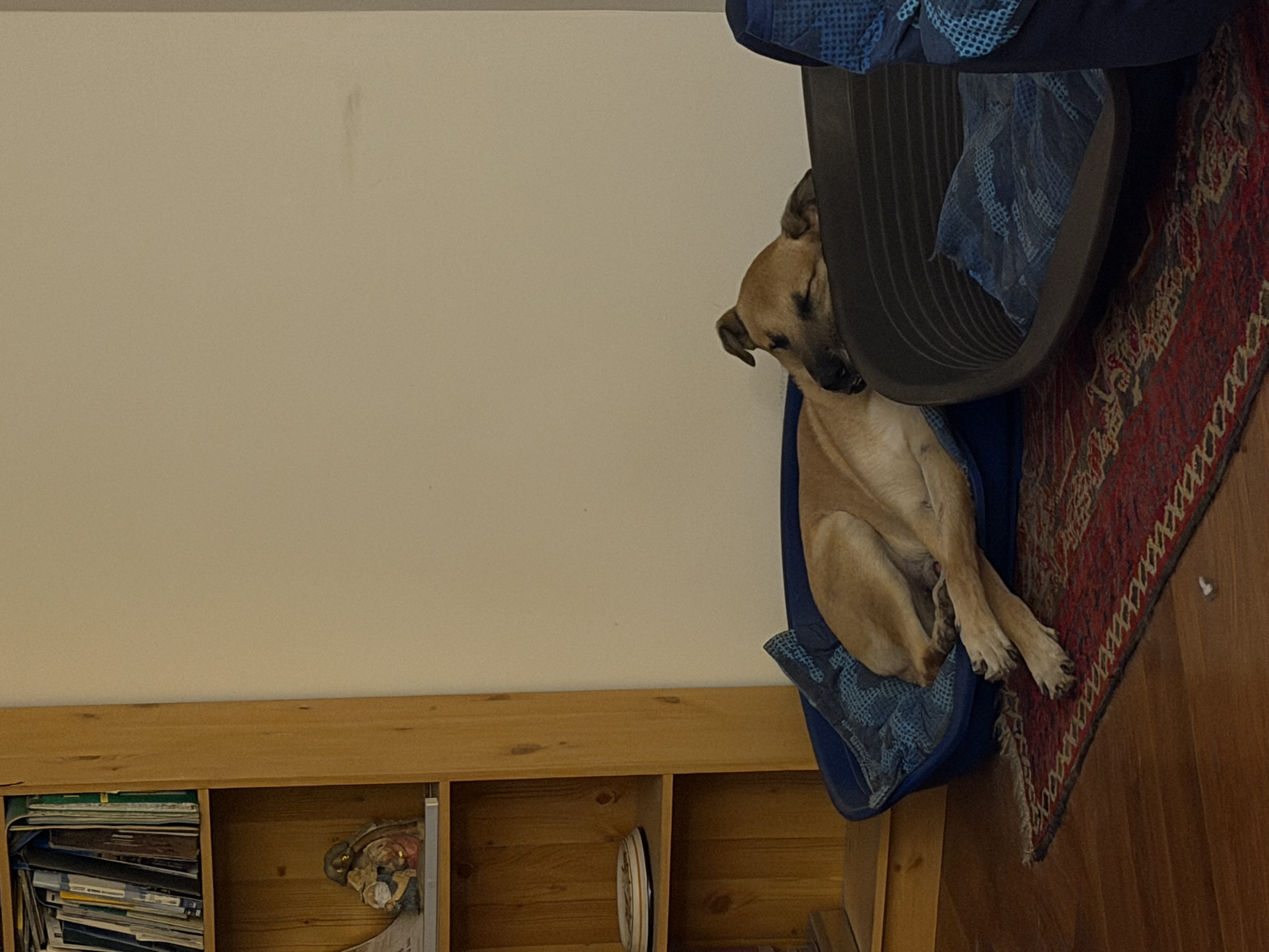image-15