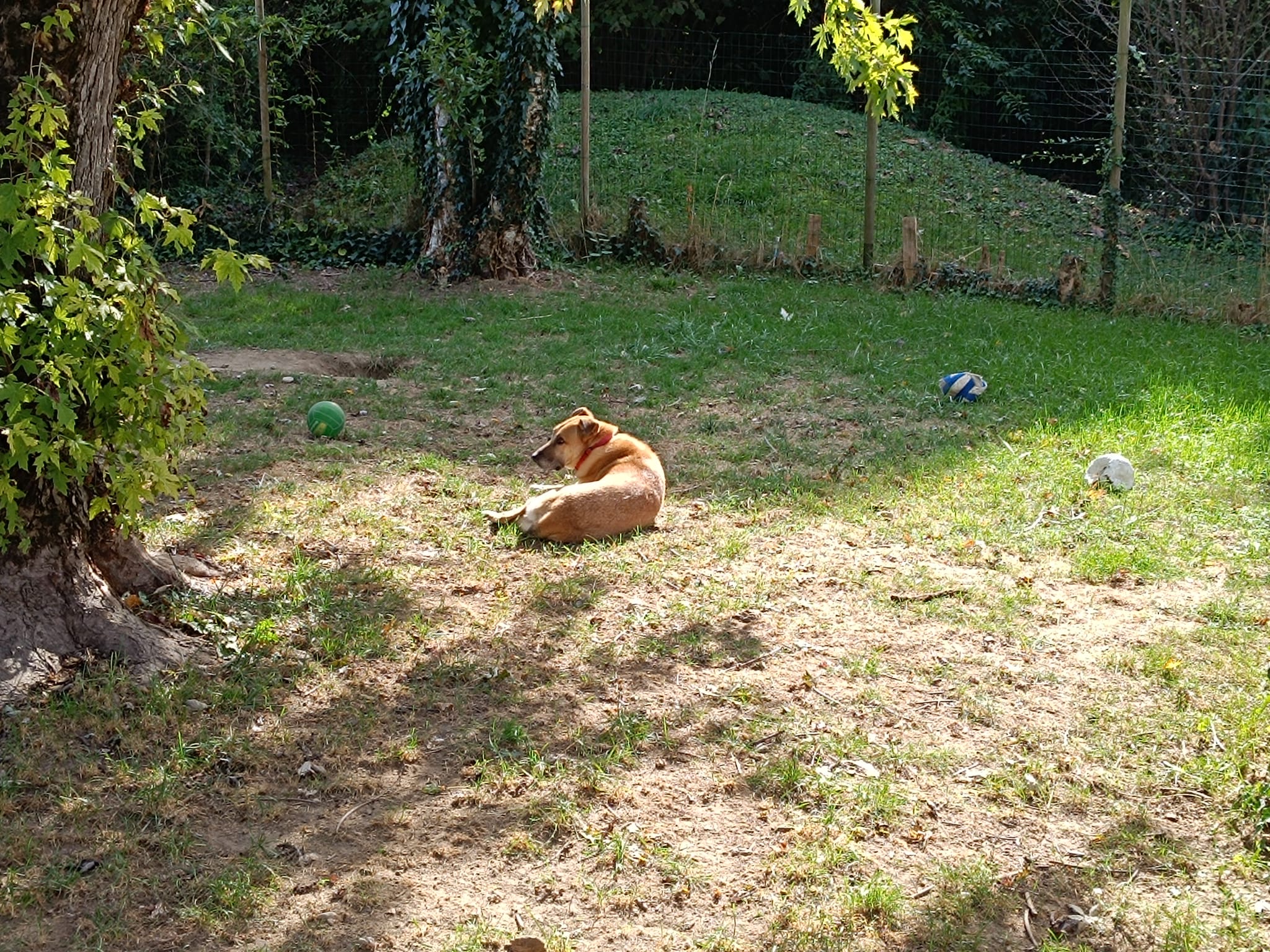 image-20