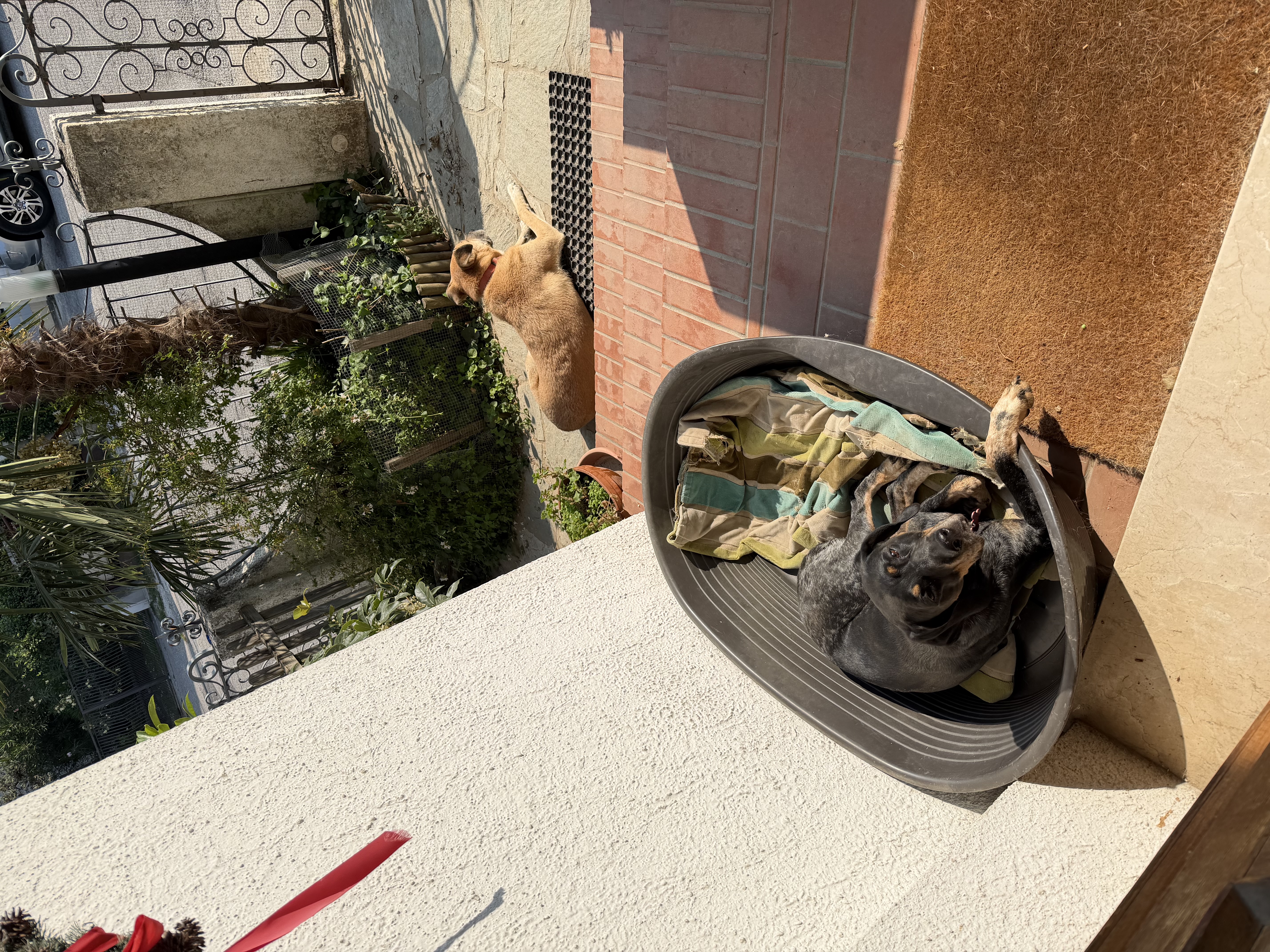 image-6