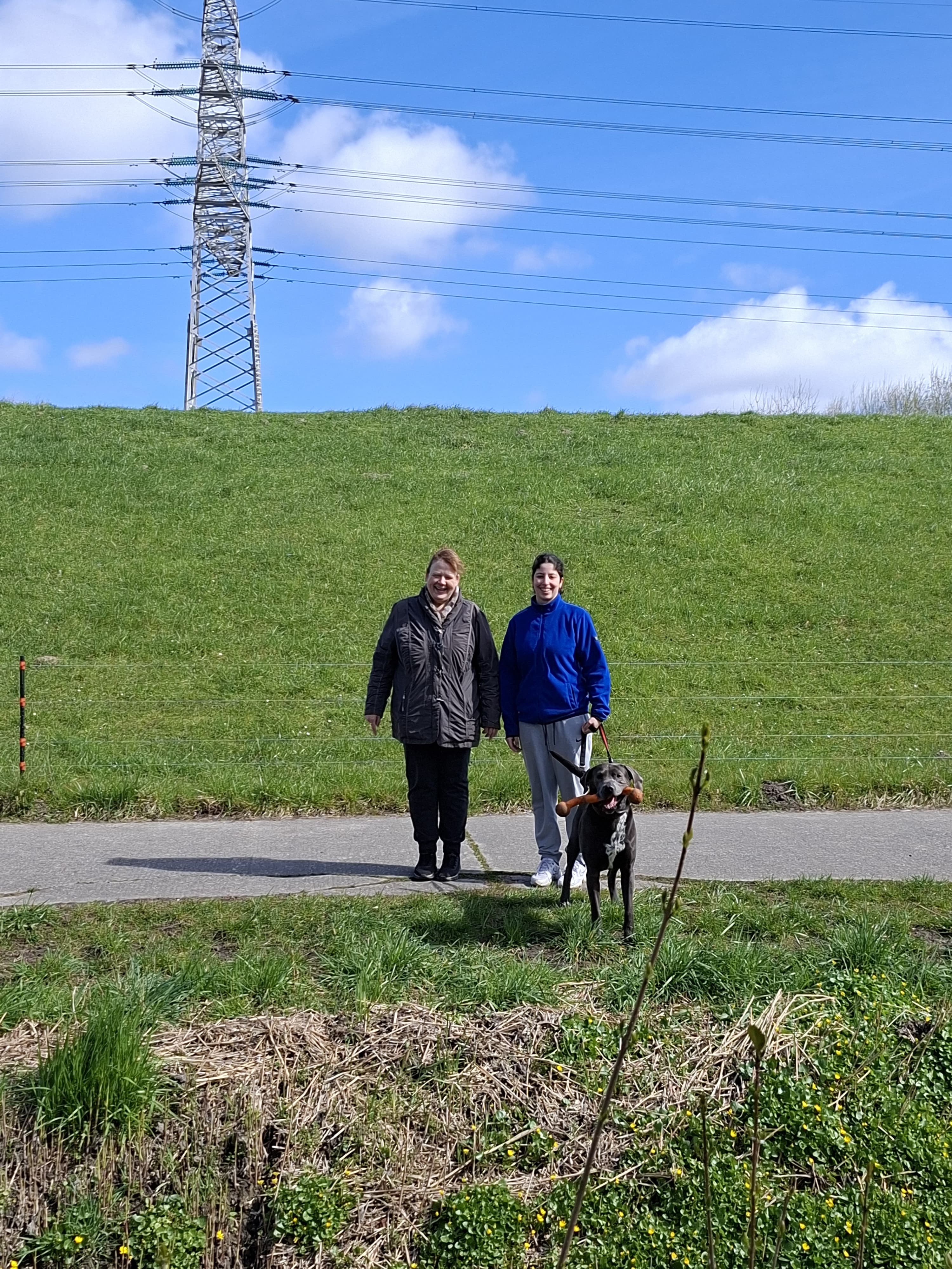 image-9