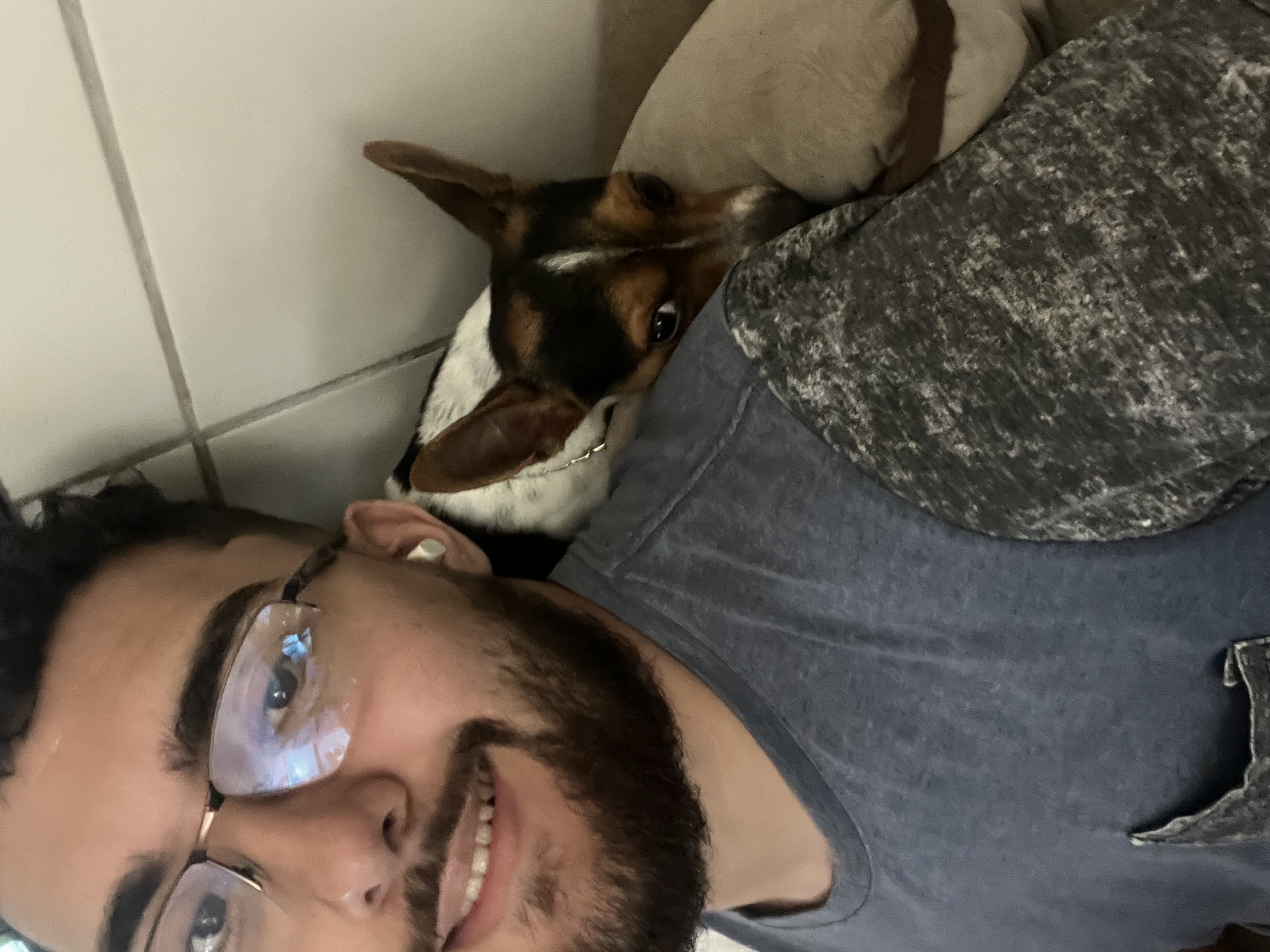 image-7