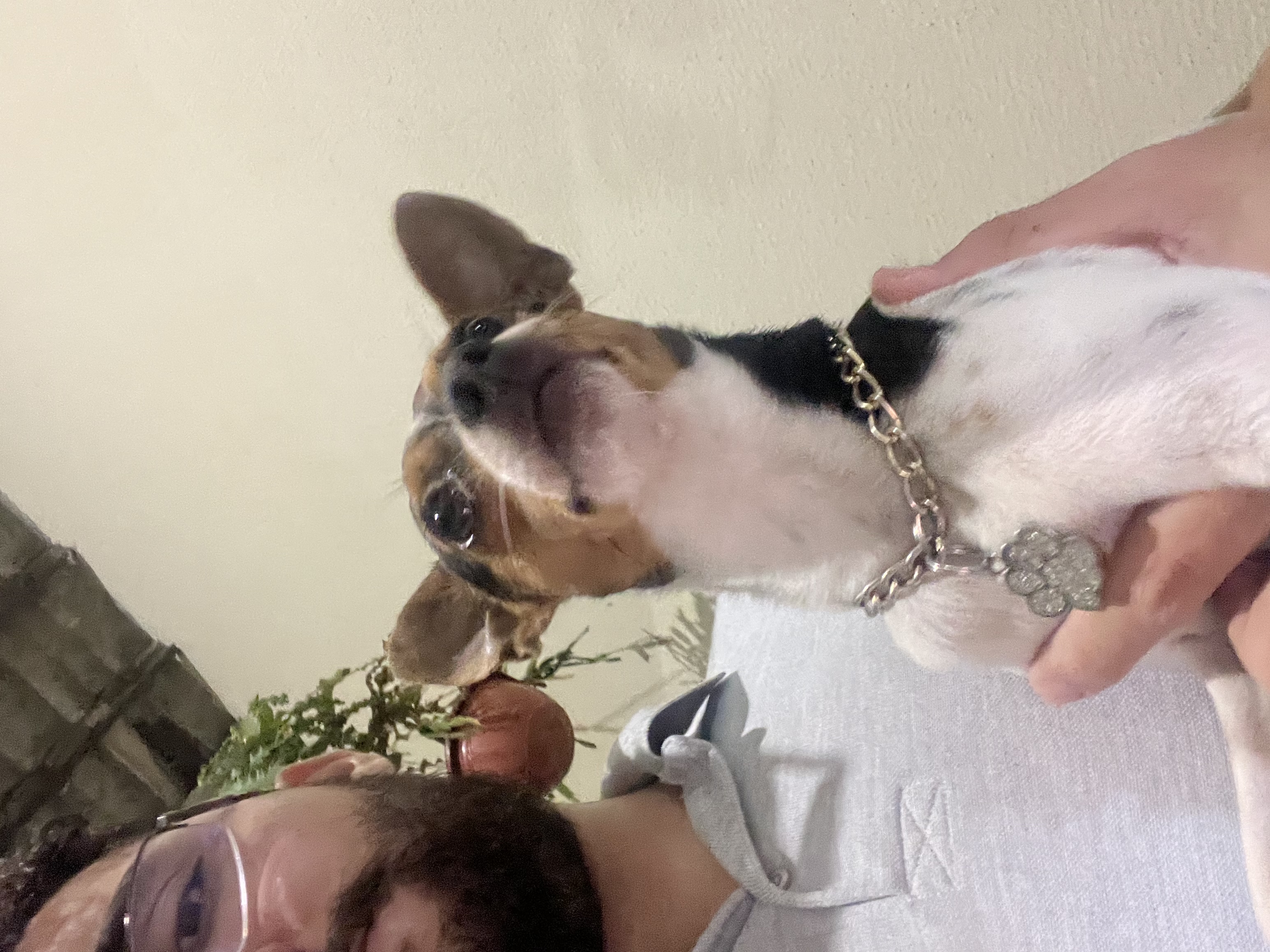 image-6