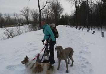 Quelques Pensionnaires