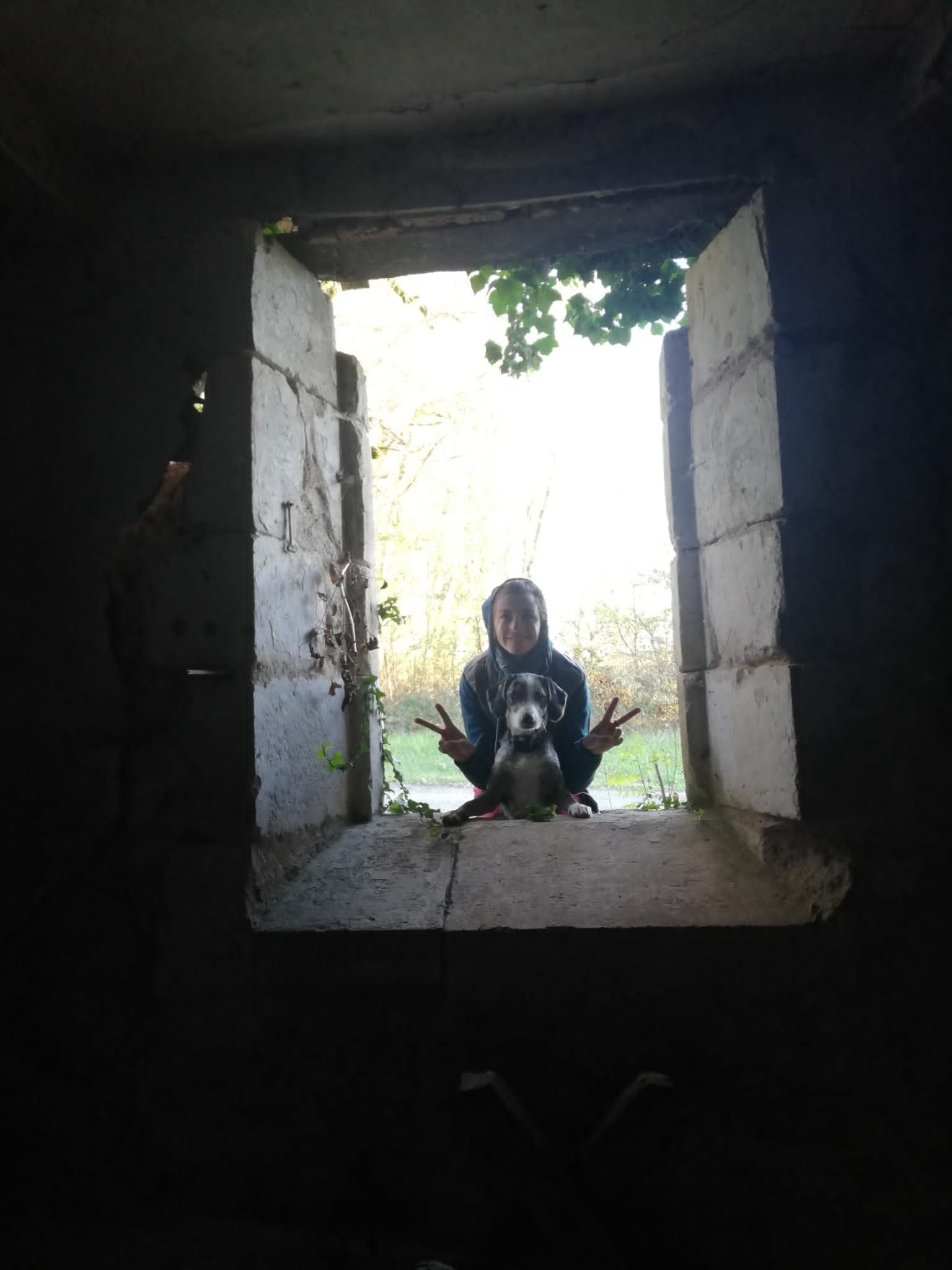 image-6