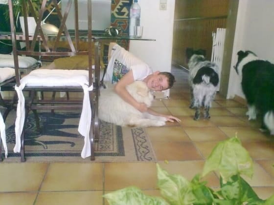 image-3