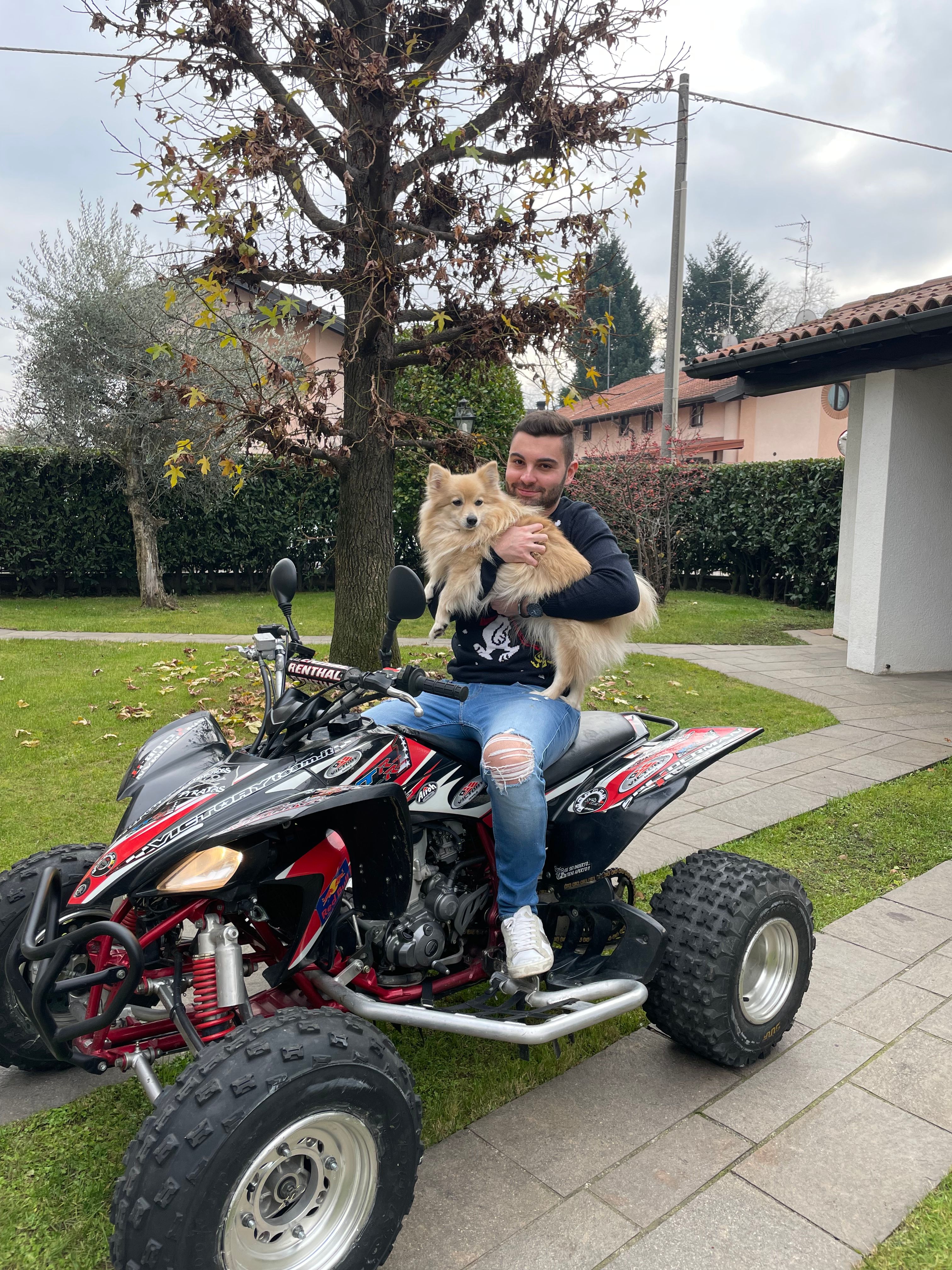 image-11