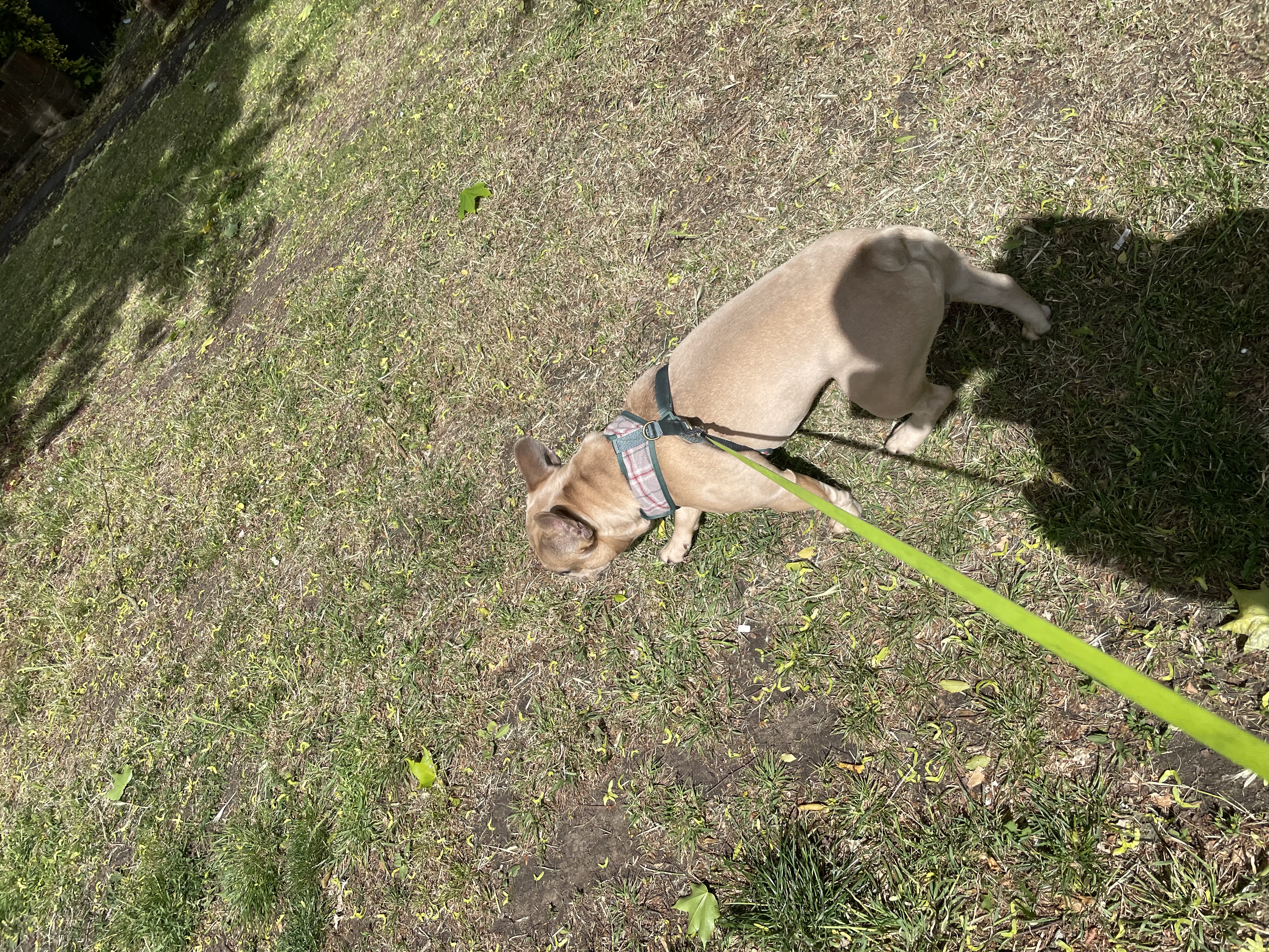 image-5