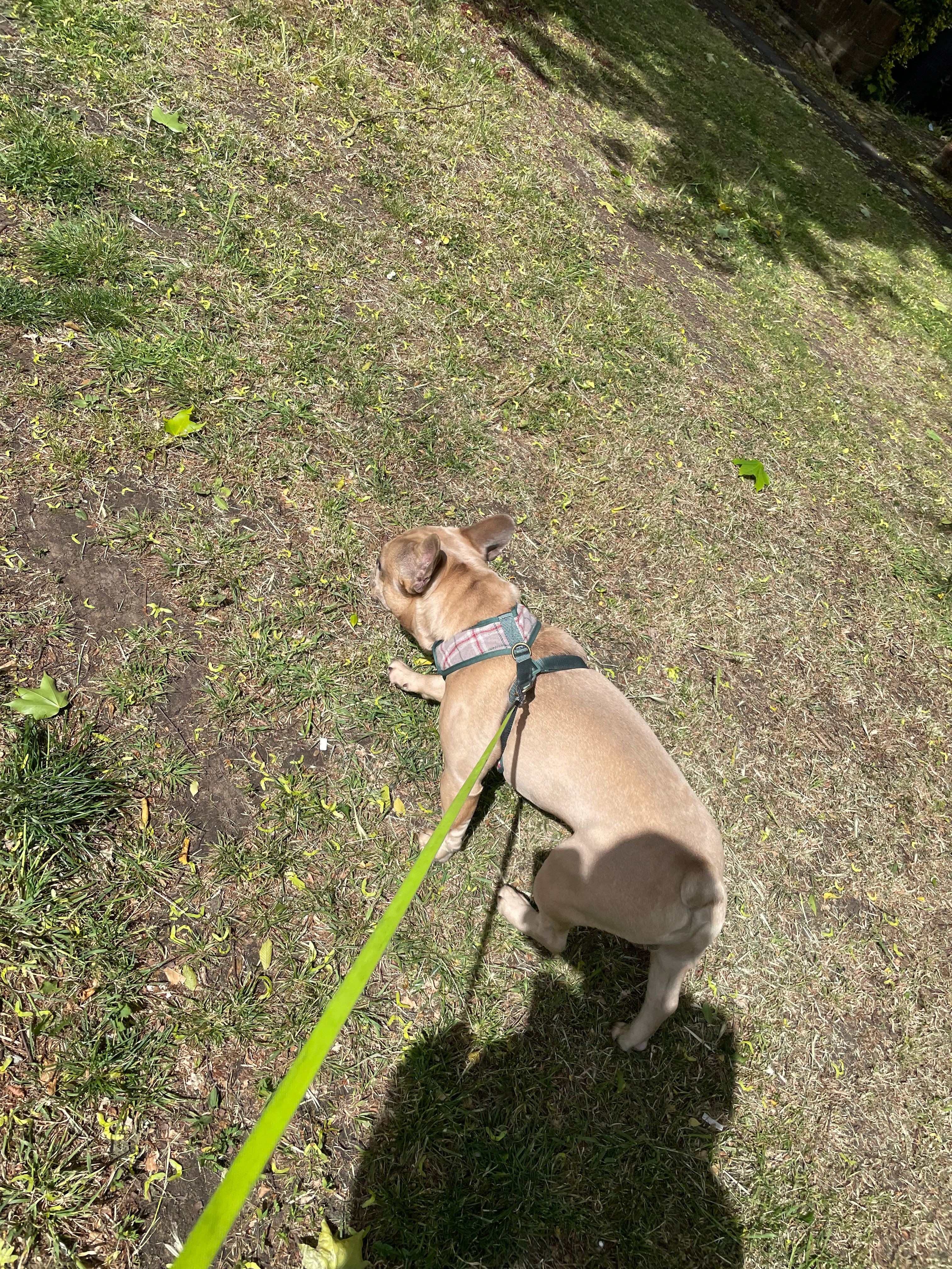 image-5