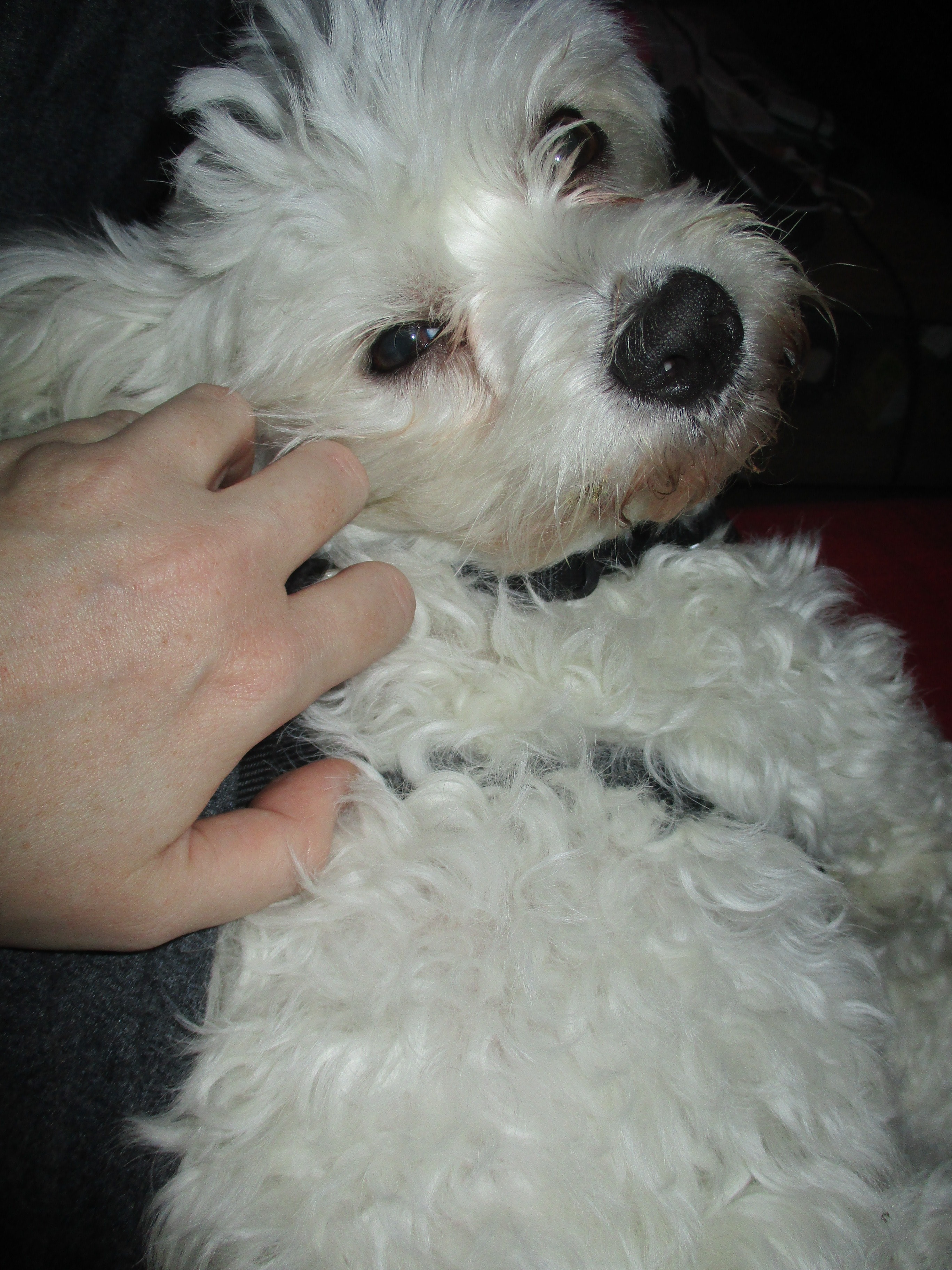 image-8