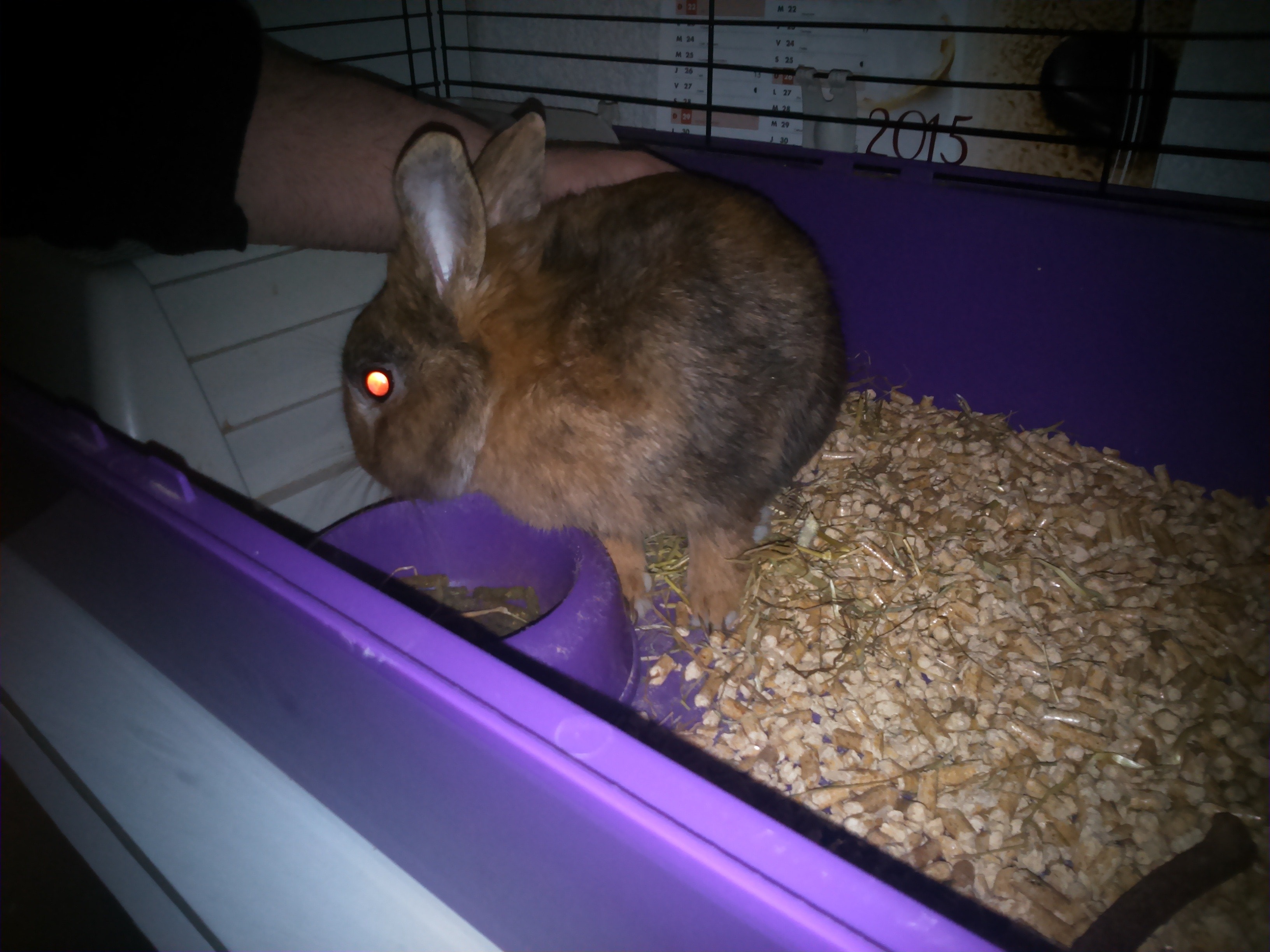 image-7
