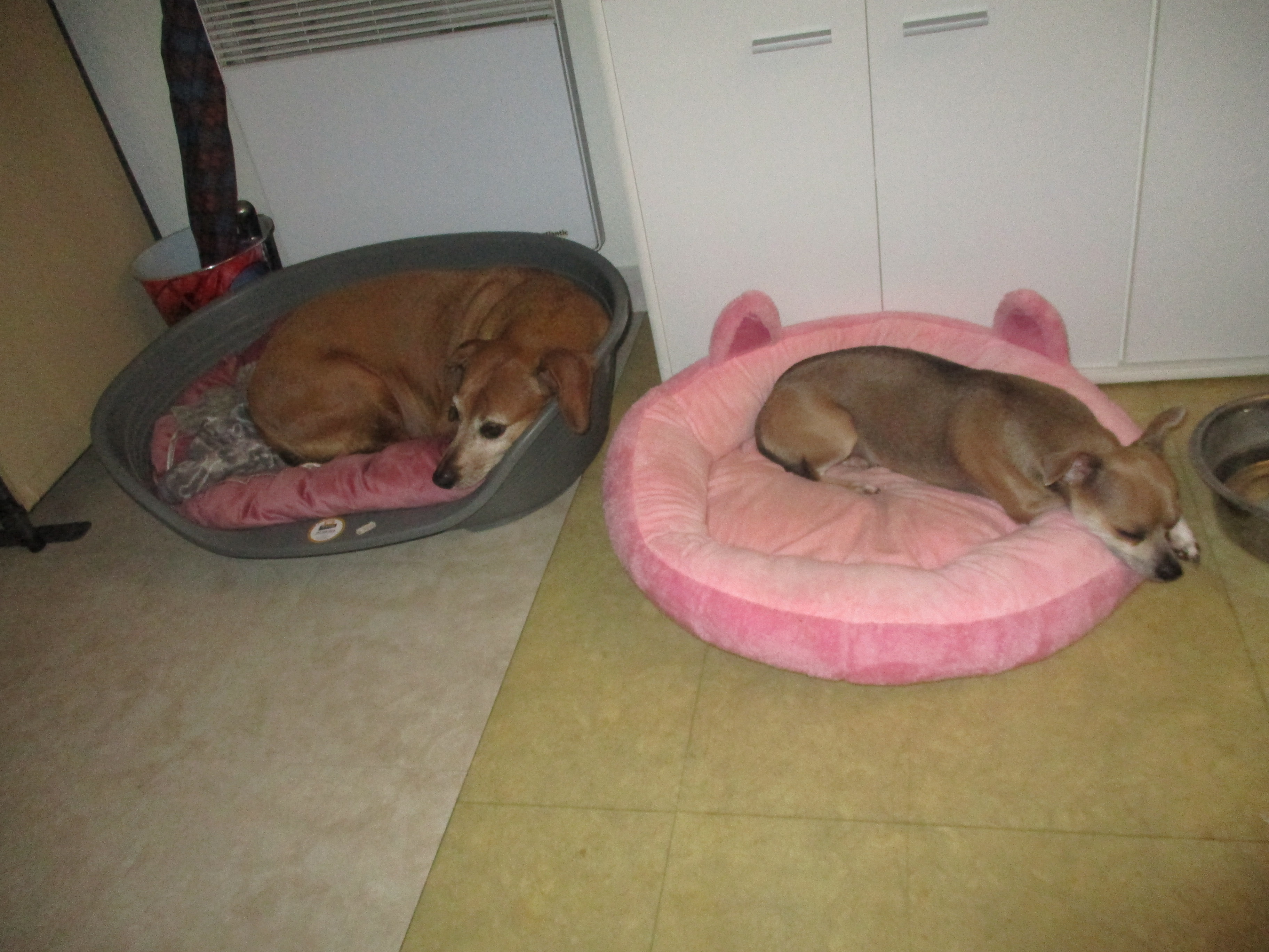 image-27