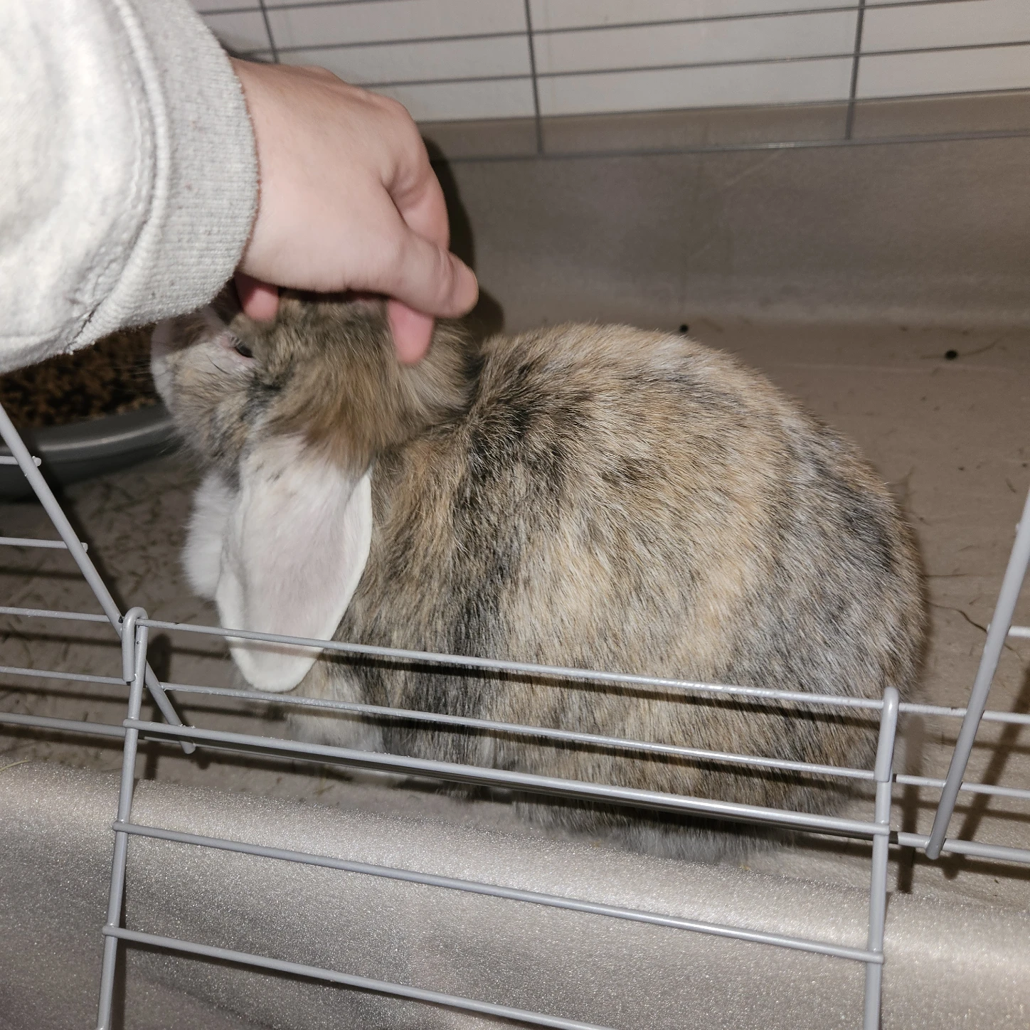 image-33