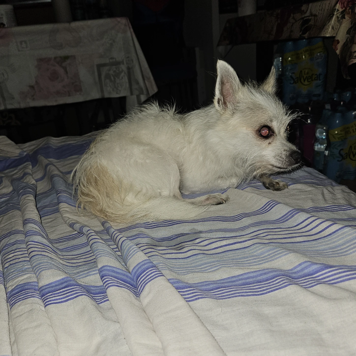 image-35