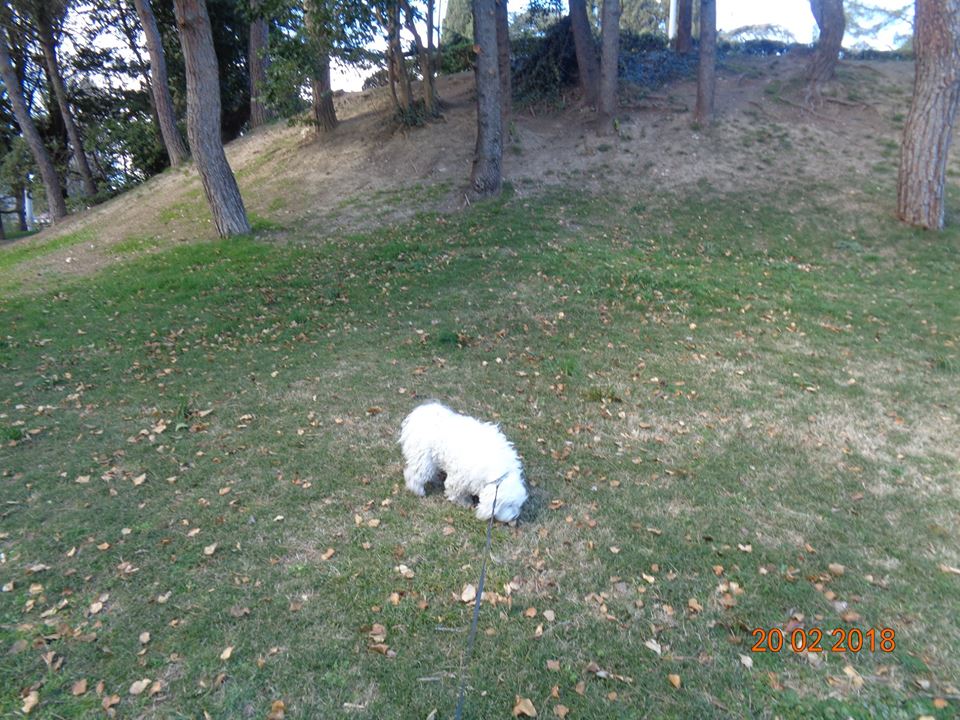 image-19