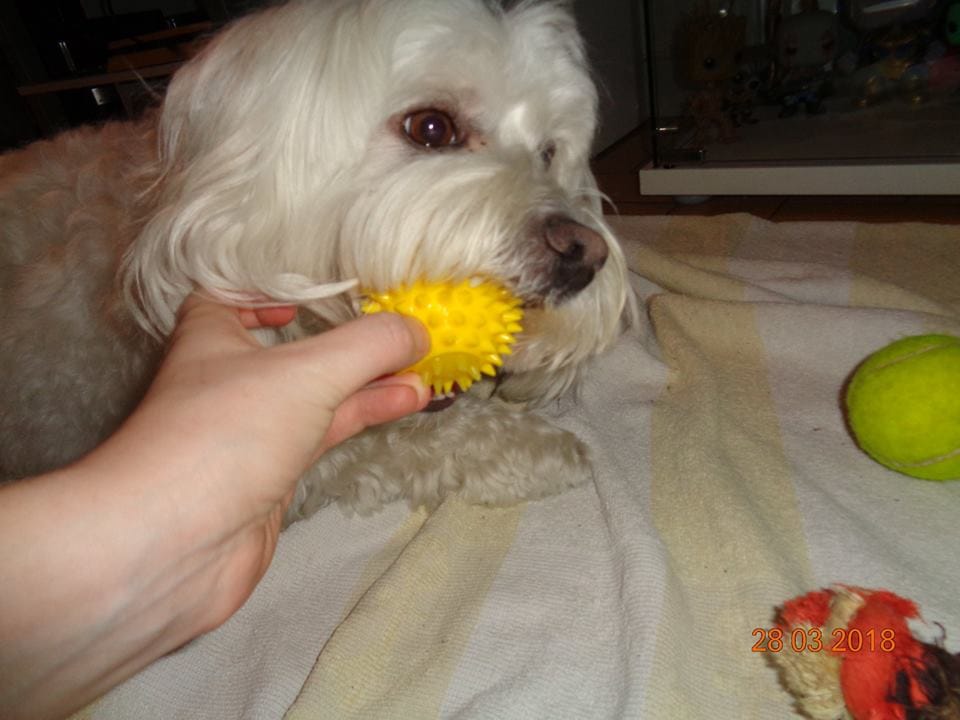 image-20