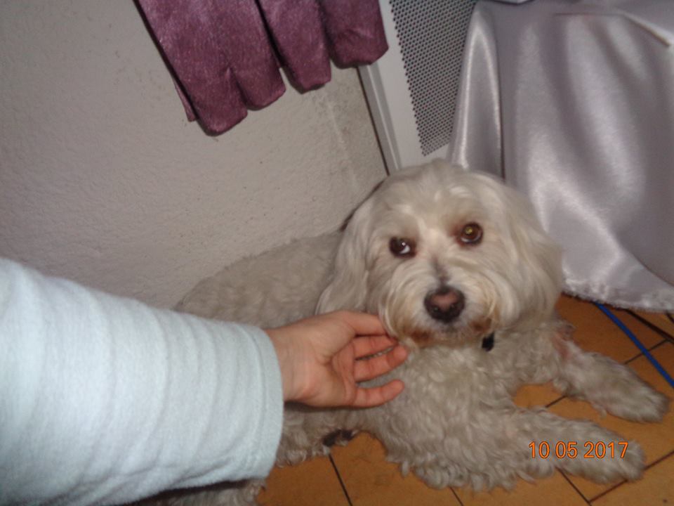 image-18