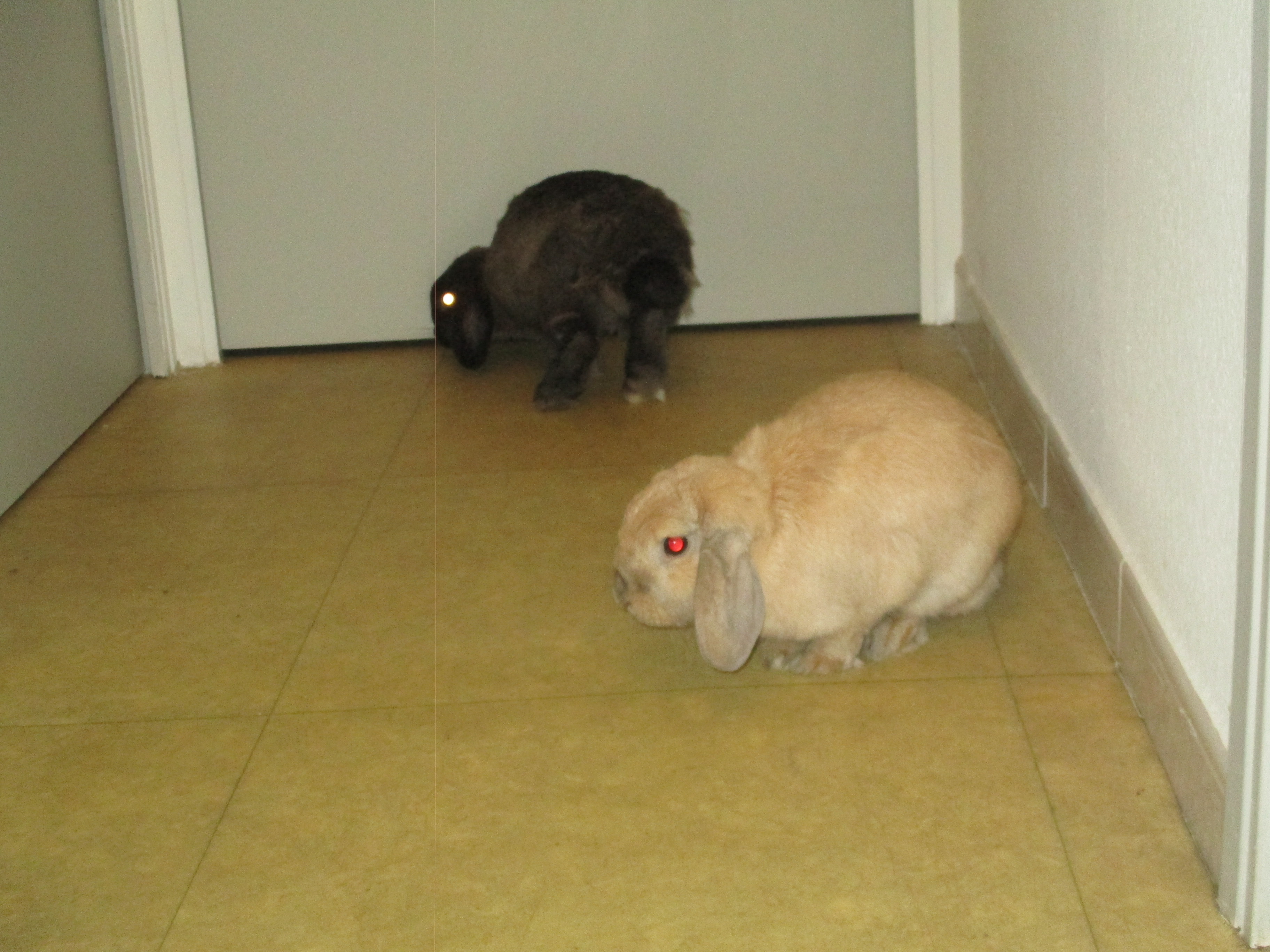 image-32