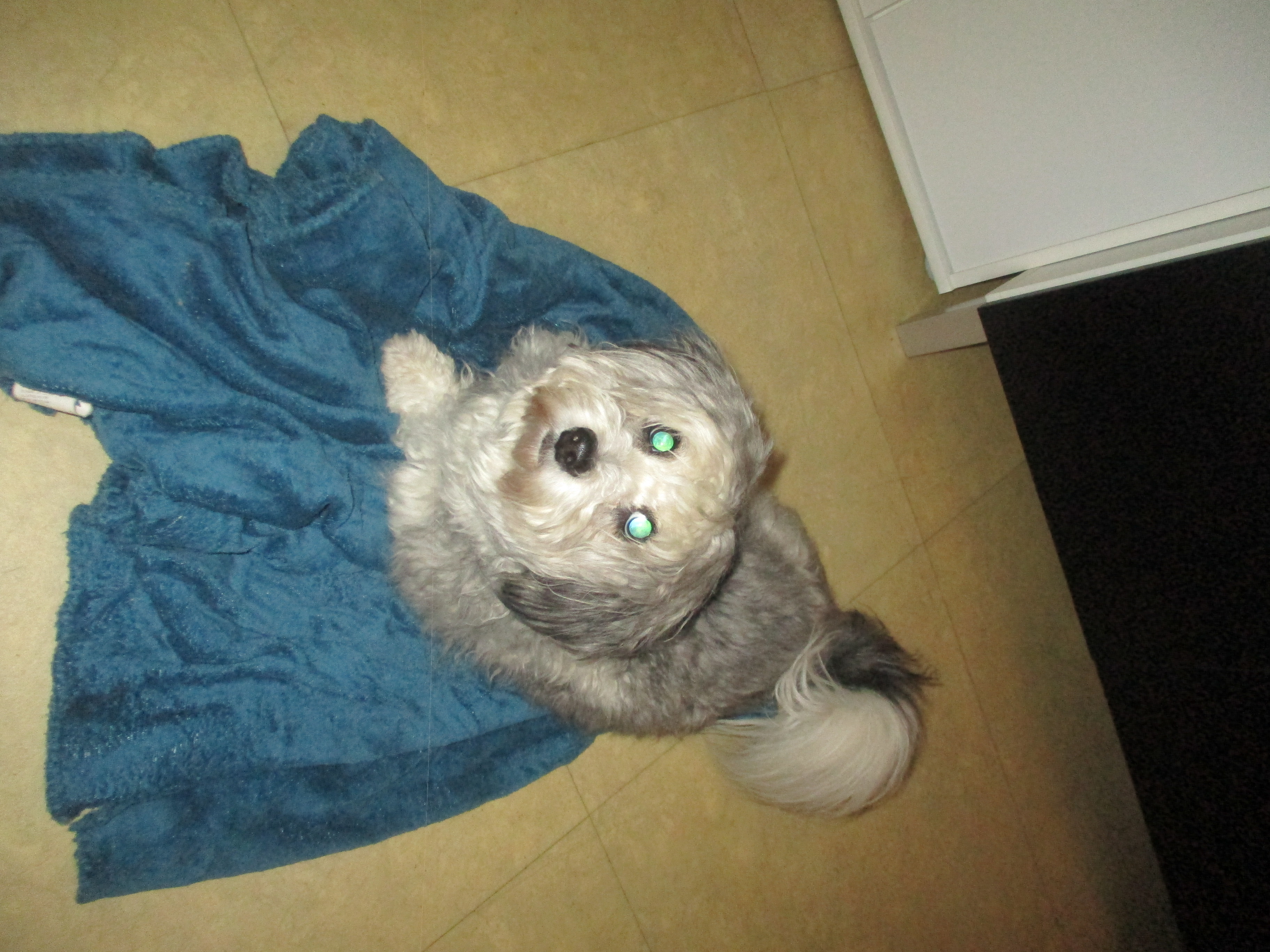 image-29