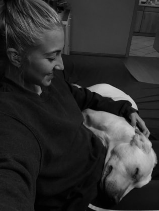 image-7