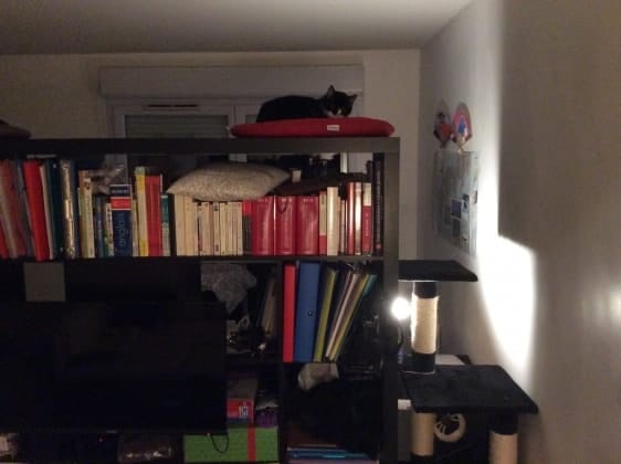 image-3