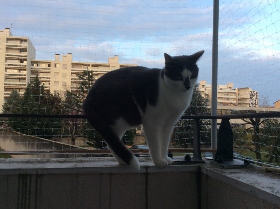 image-5