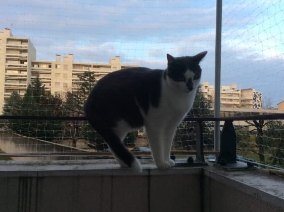 image-5
