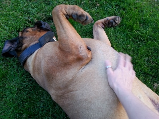 image-7