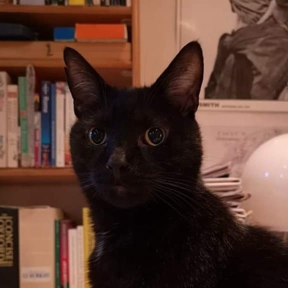 Lugus