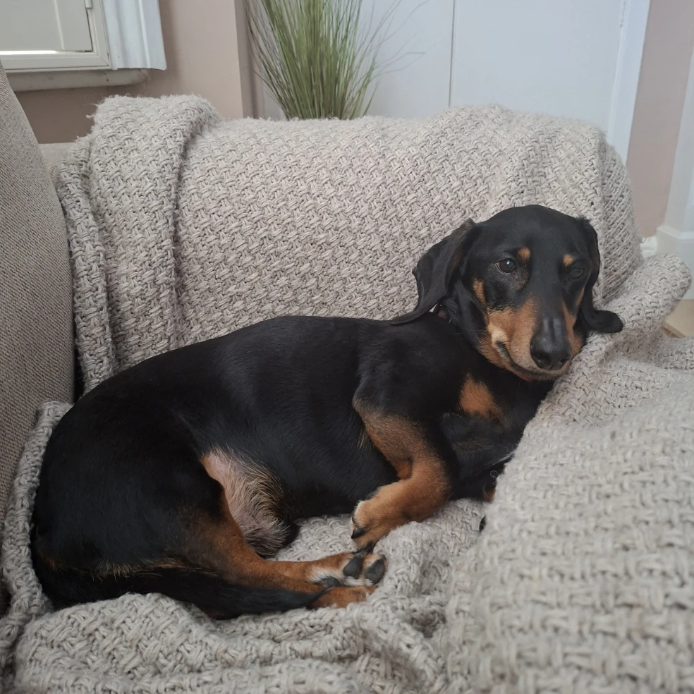 Monty