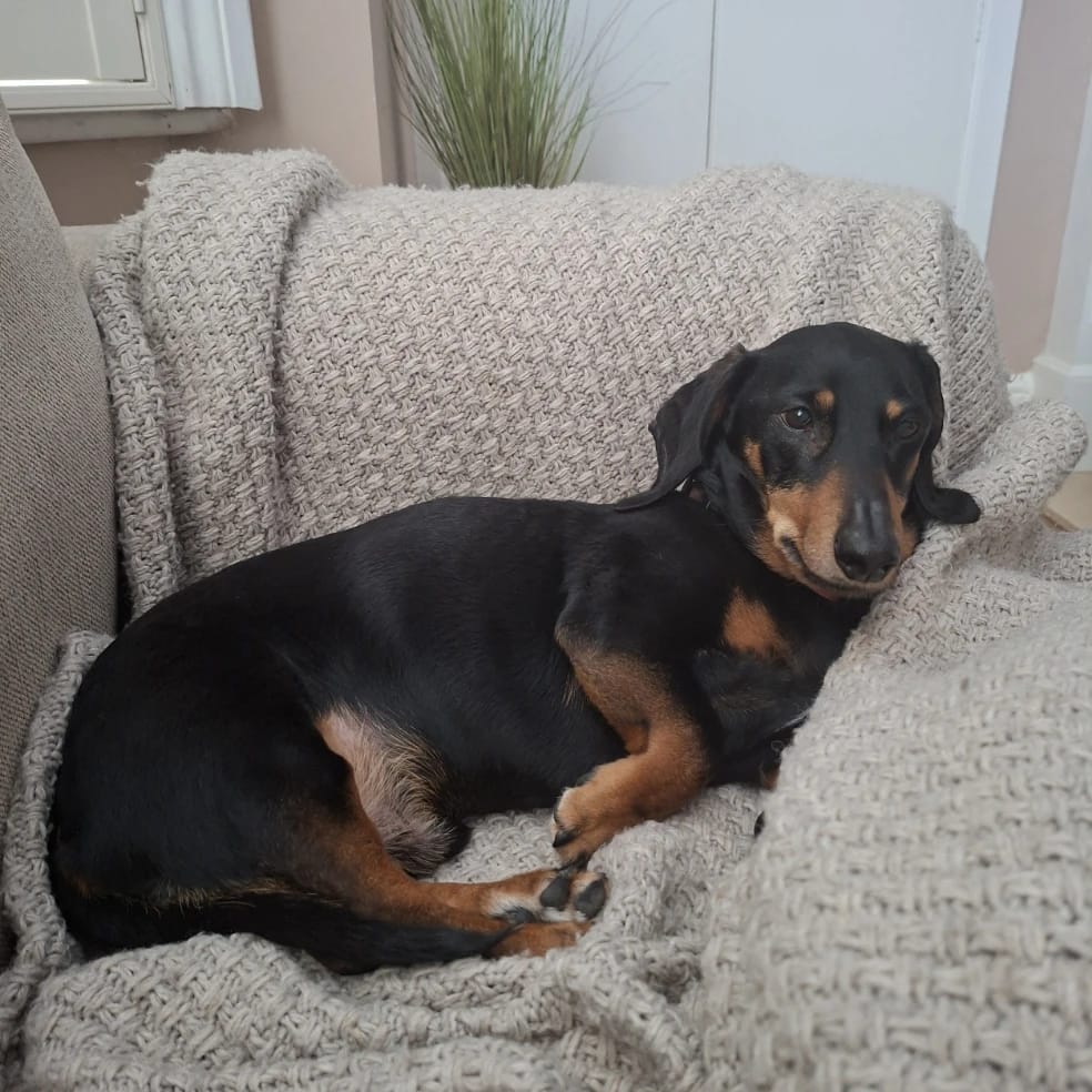 Monty
