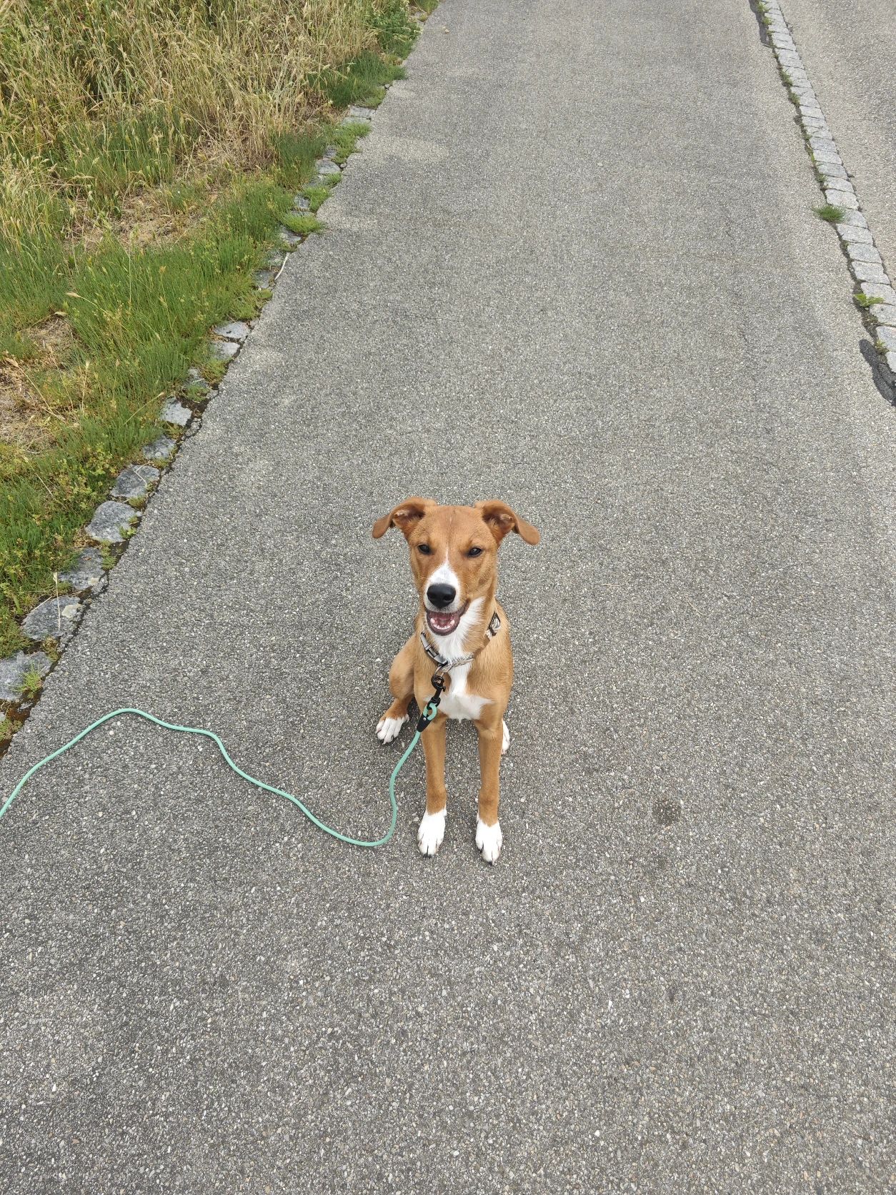 image-6