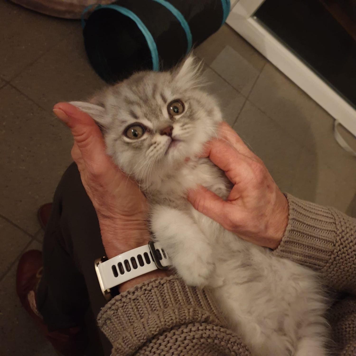 image-9