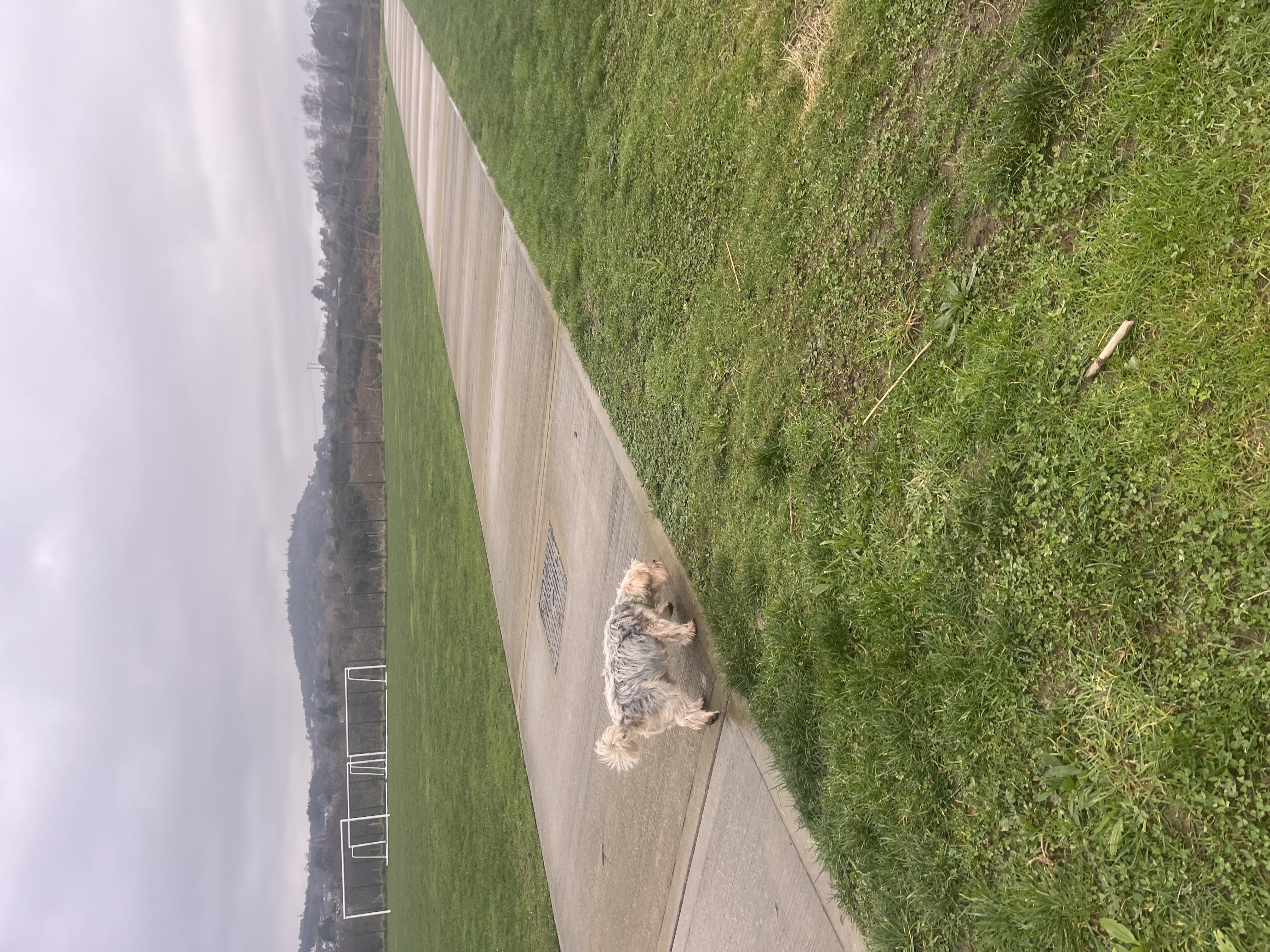 image-7