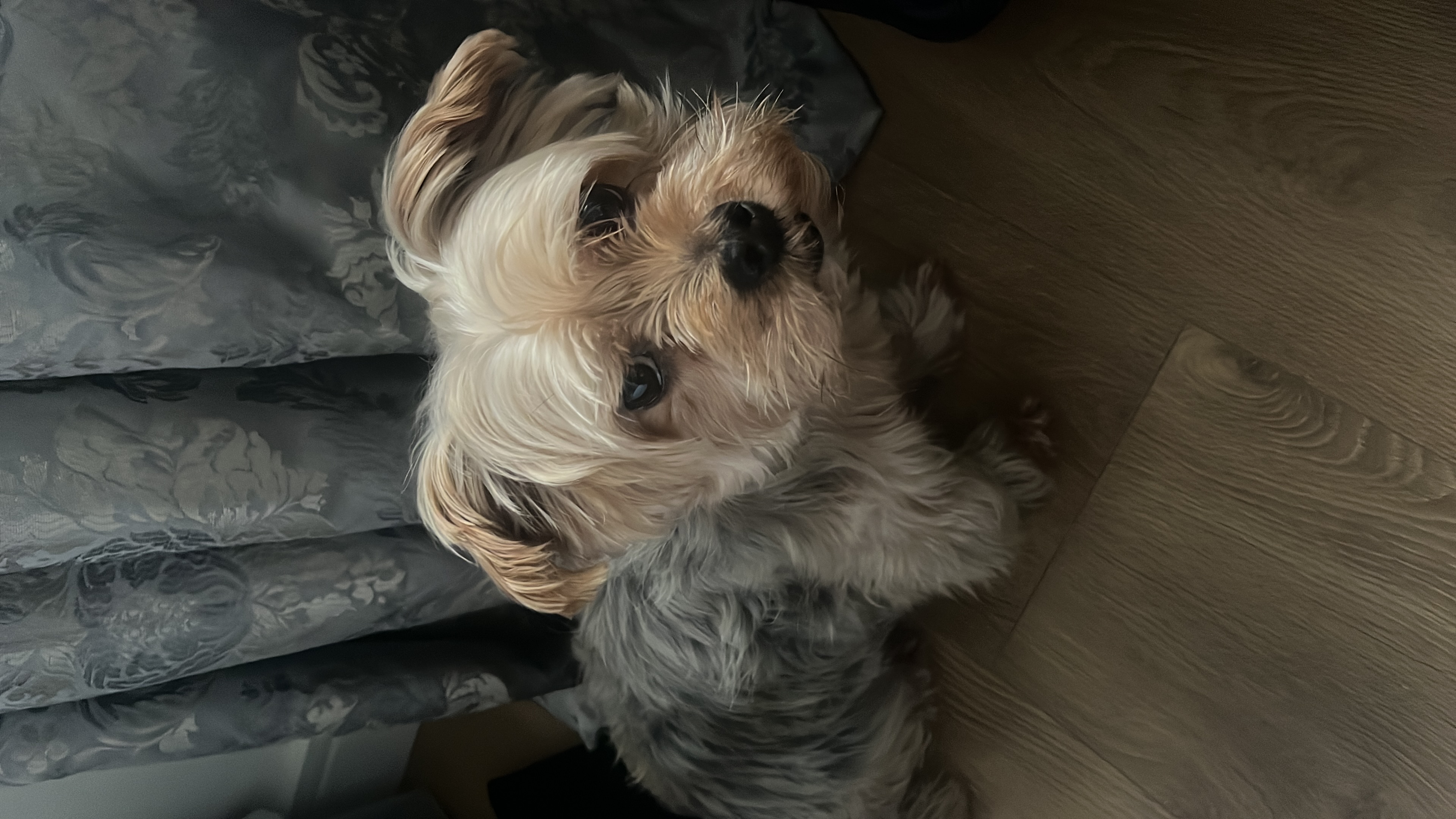 image-4