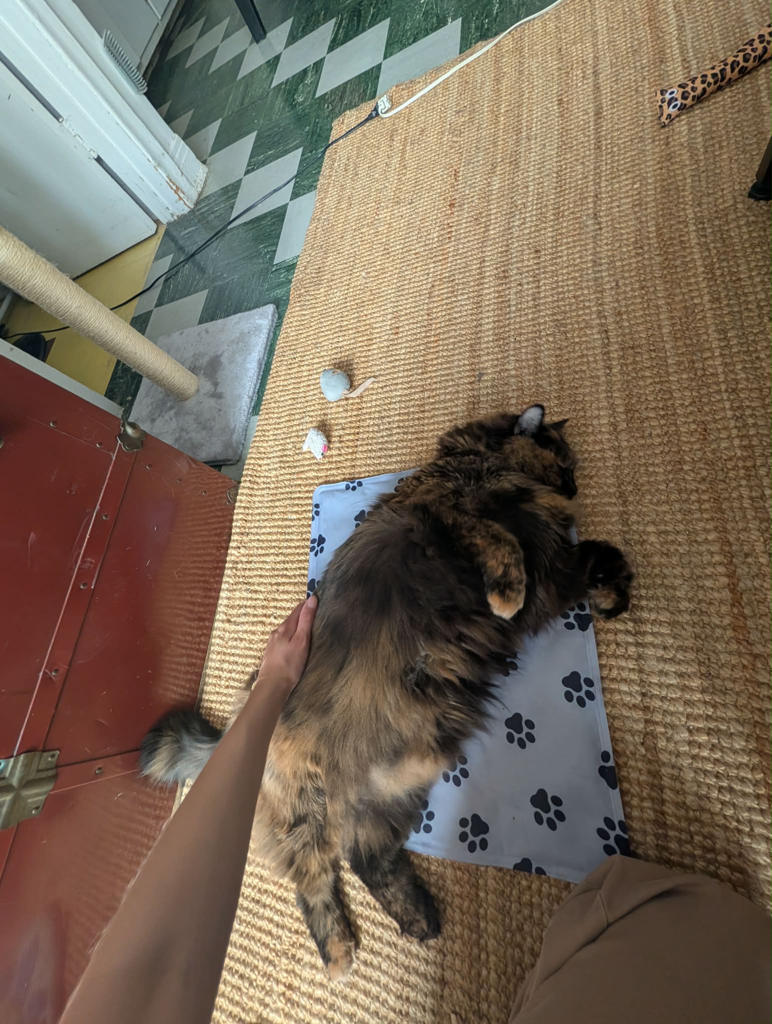 image-8