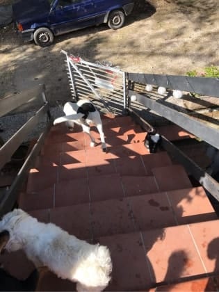 image-7