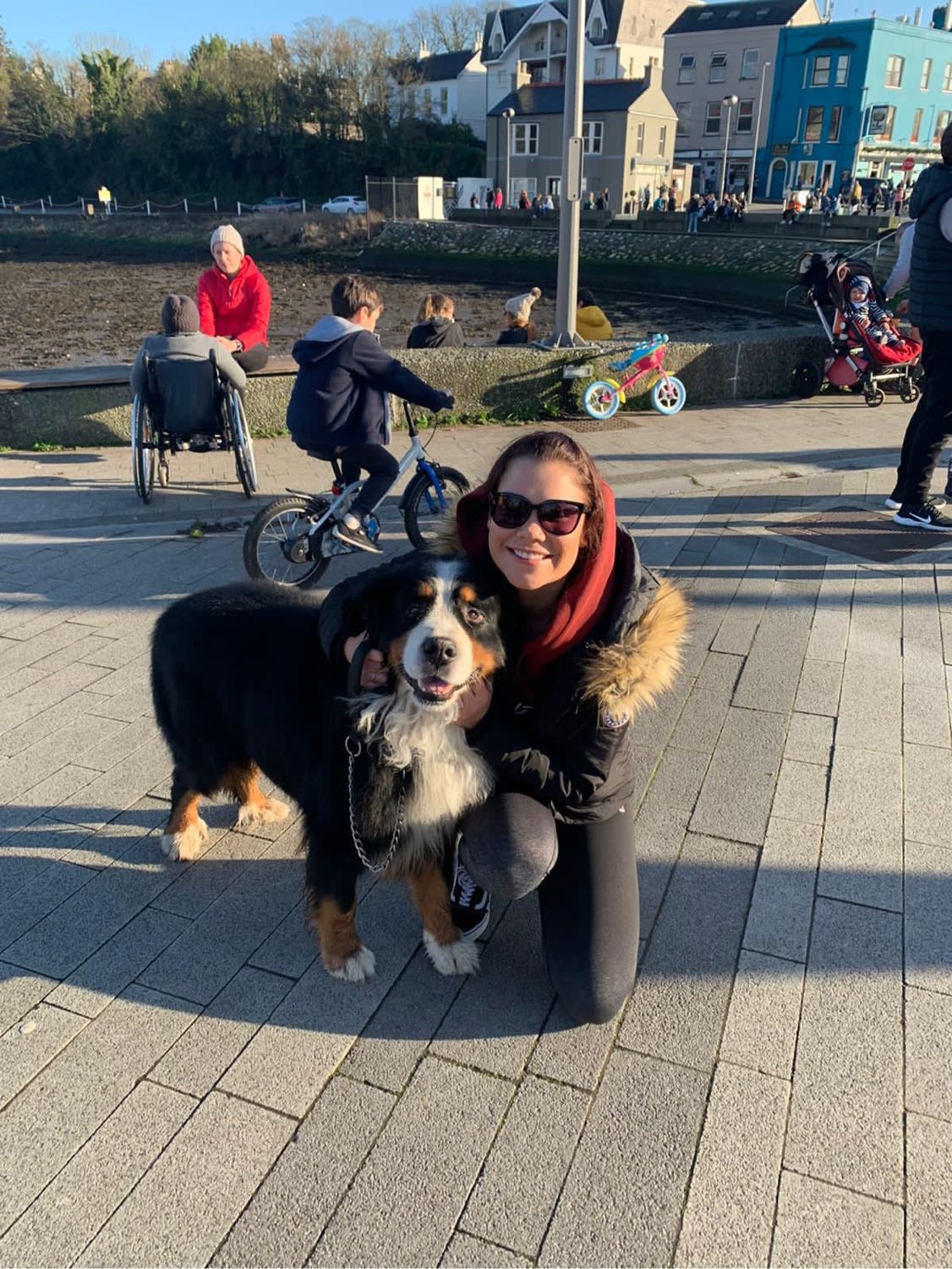 image-11