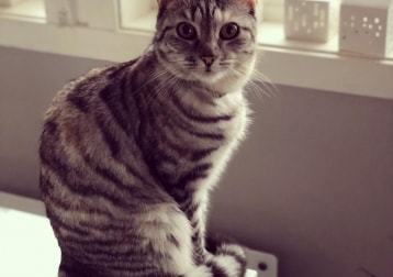 Fiona 
