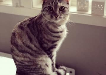 Fiona